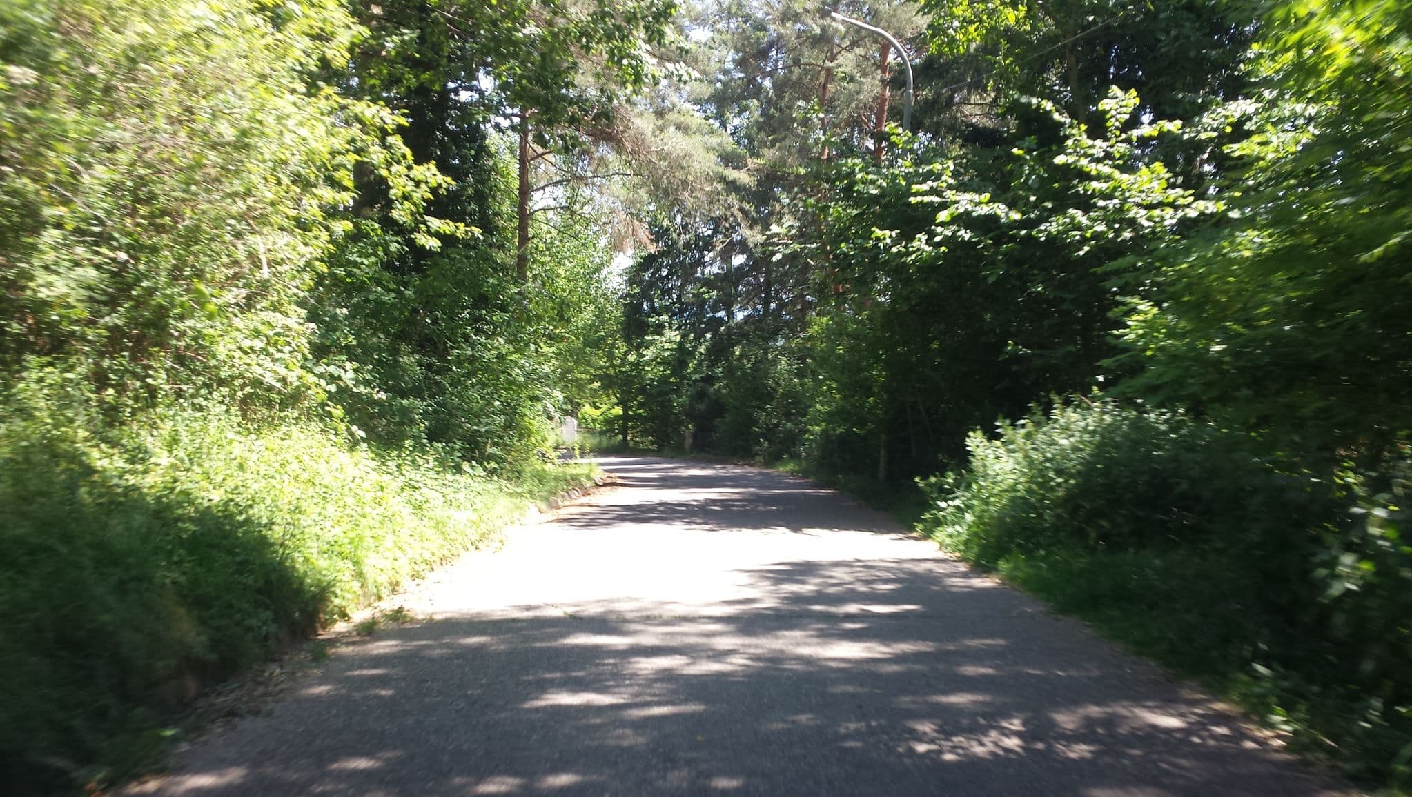 Street view near Roland Schreieck, Ilbesheim — © wegavision (CC BY-SA · Mapillary)