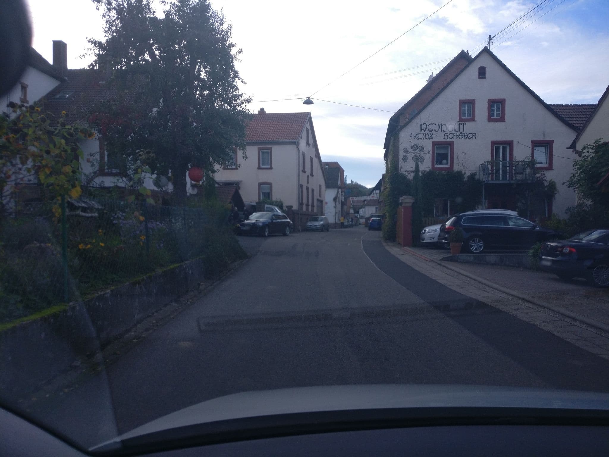 Street view near Ferienwohnung Krönchen, Ilbesheim — © dnaiel (CC BY-SA · Mapillary)