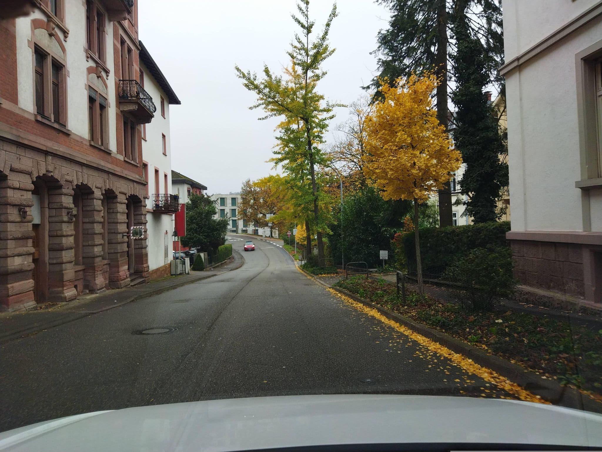 Street view near Hostel Caracalla, Baden-Baden — © changchun1 (CC BY-SA · Mapillary)
