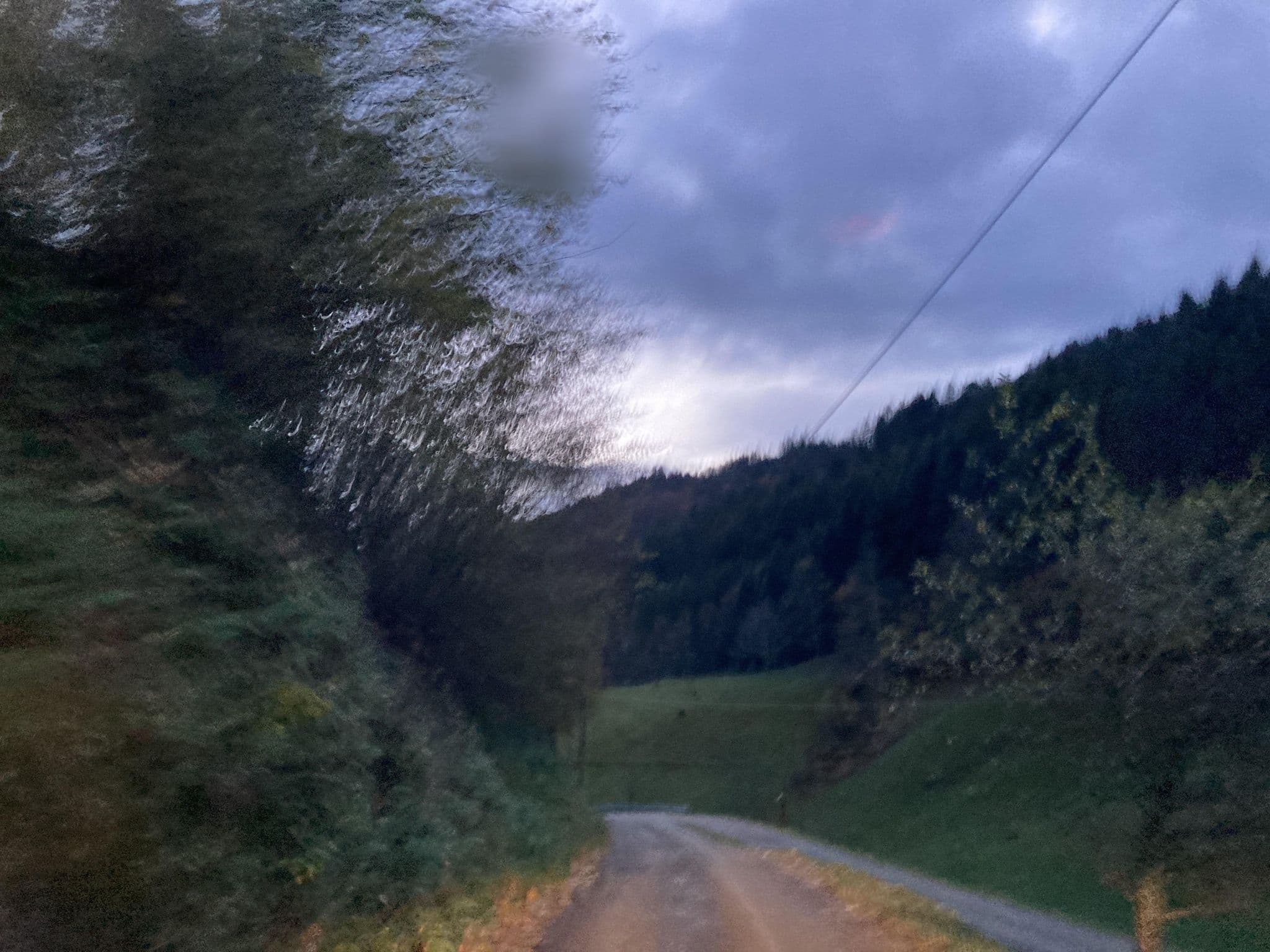 Street view near Schillingerhof, Oberwolfach — © tasmaniadevil (CC BY-SA · Mapillary)