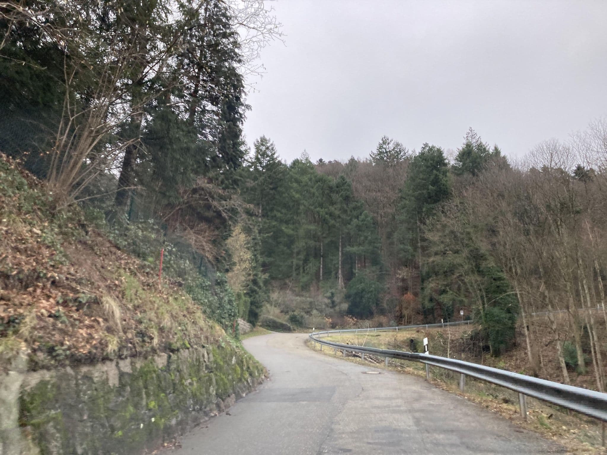 Street view near Haus Rheintalblick, Bühlertal — © tasmaniadevil (CC BY-SA · Mapillary)