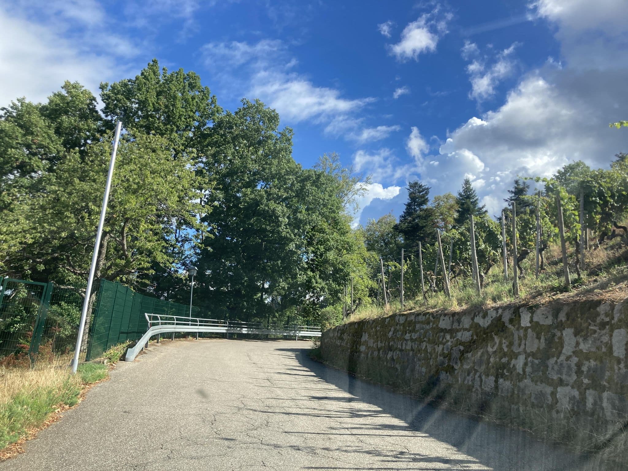 Street view near Haus Bergfrieden, Bühlertal — © tasmaniadevil (CC BY-SA · Mapillary)