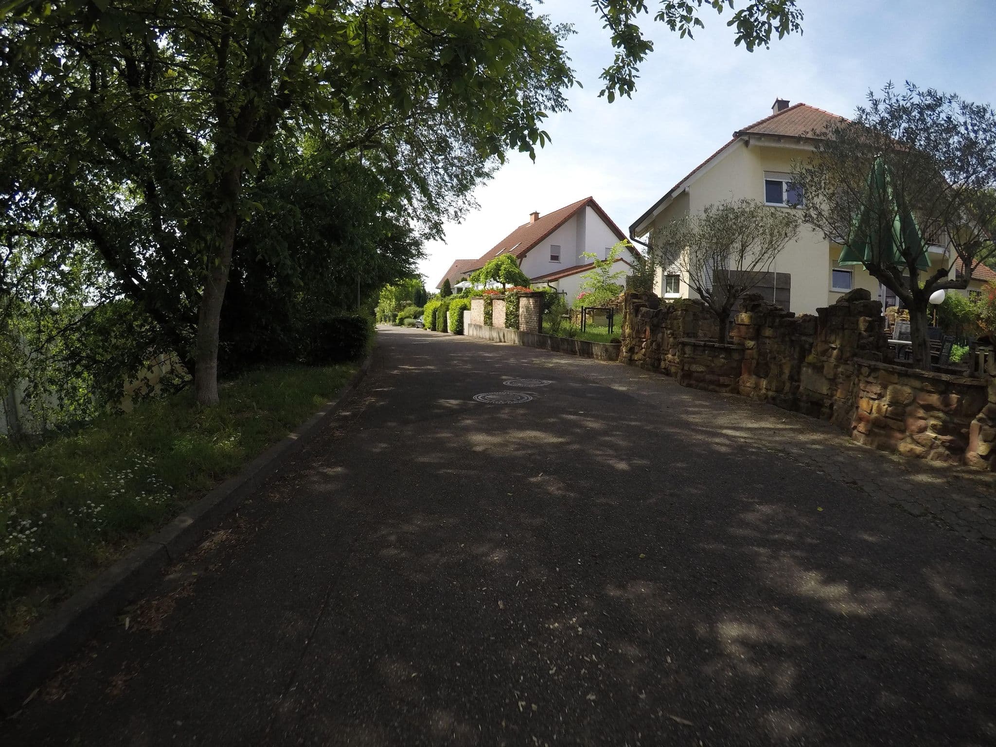 Street view near Gehrlein's Hardtwald, Neupotz — © mfa (CC BY-SA · Mapillary)