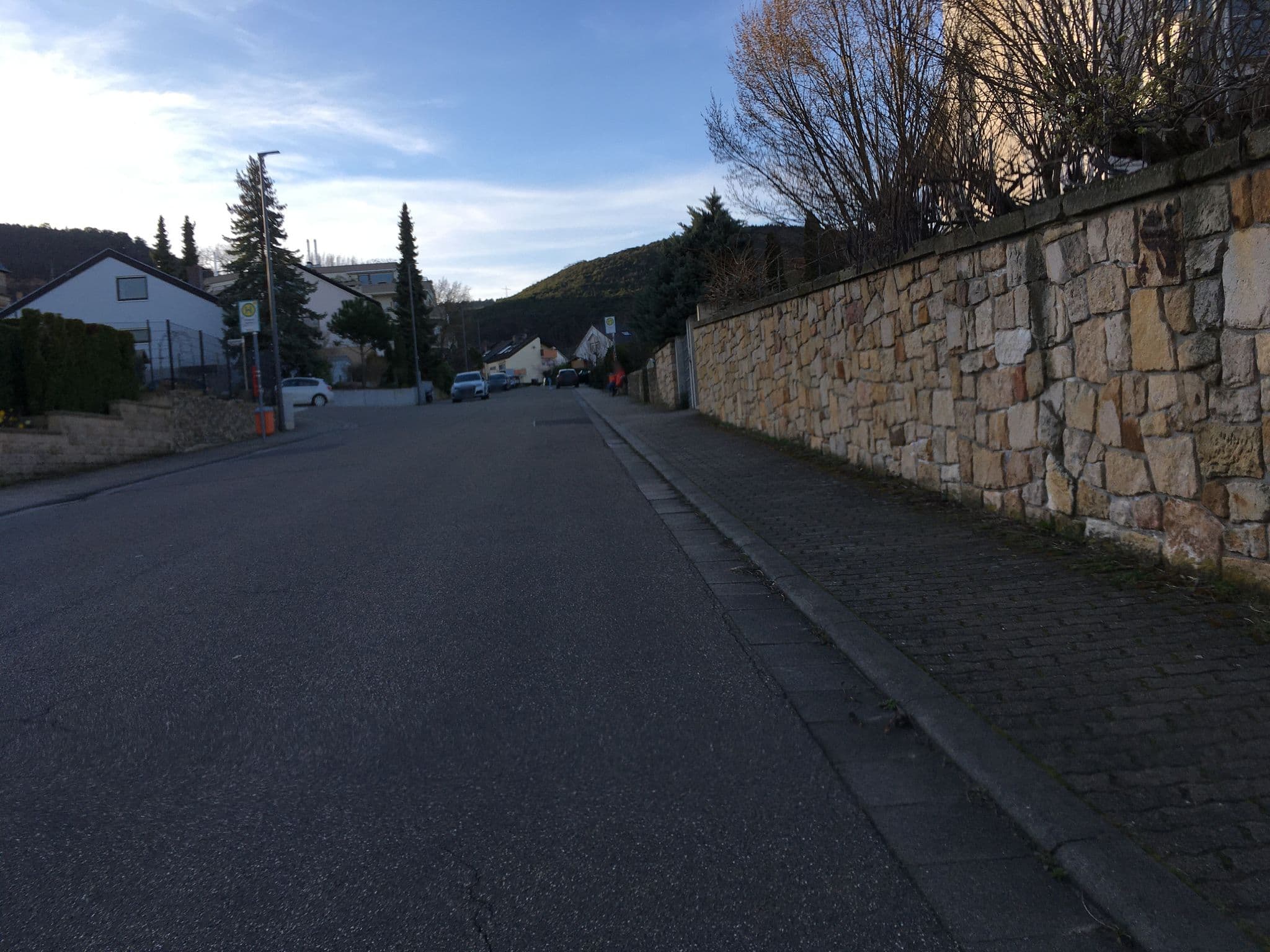 Street view near Schlößchen Hildenbrandseck, Ruppertsberg — © changchun1 (CC BY-SA · Mapillary)