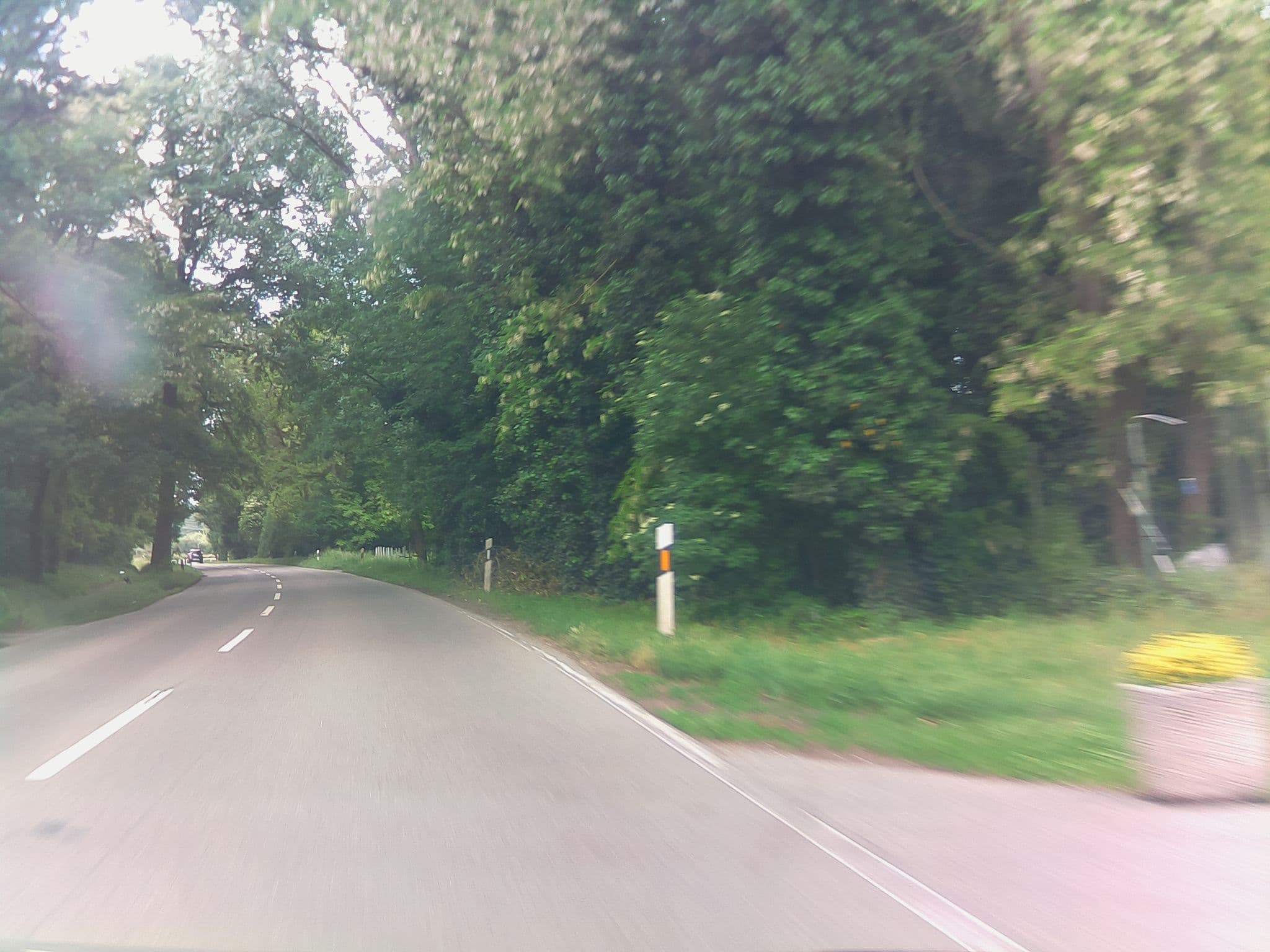 Street view near Danhof Guesthouse, Limburgerhof — © ramap (CC BY-SA · Mapillary)