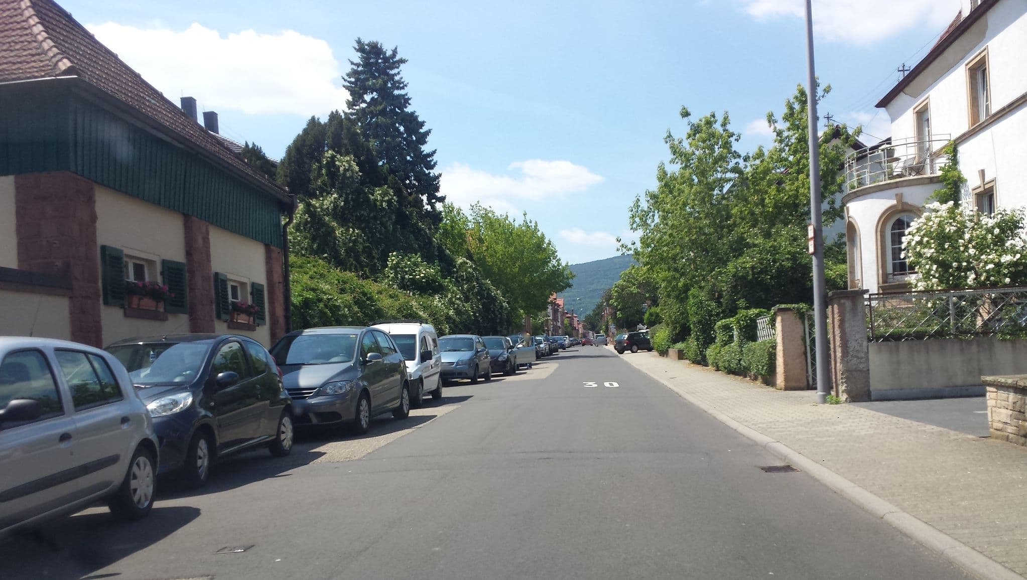 Street view near Hotel am Immengarten, Maikammer — © wegavision (CC BY-SA · Mapillary)
