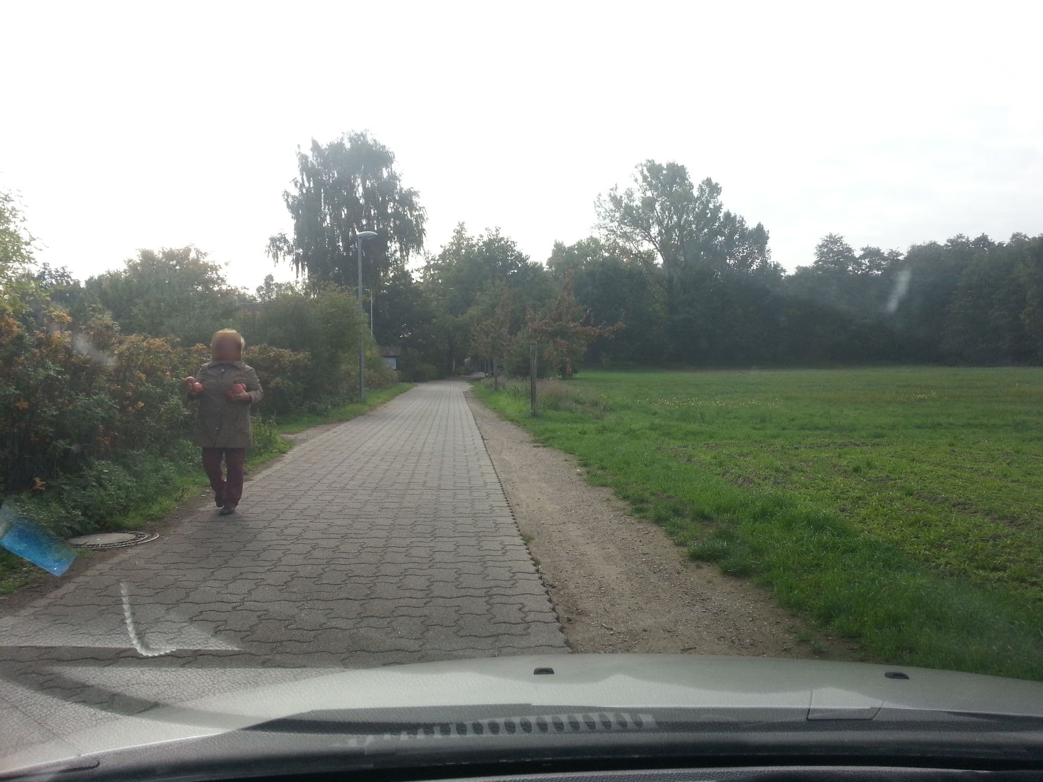 Street view near Sägmühle, Haßloch — © wegavision (CC BY-SA · Mapillary)
