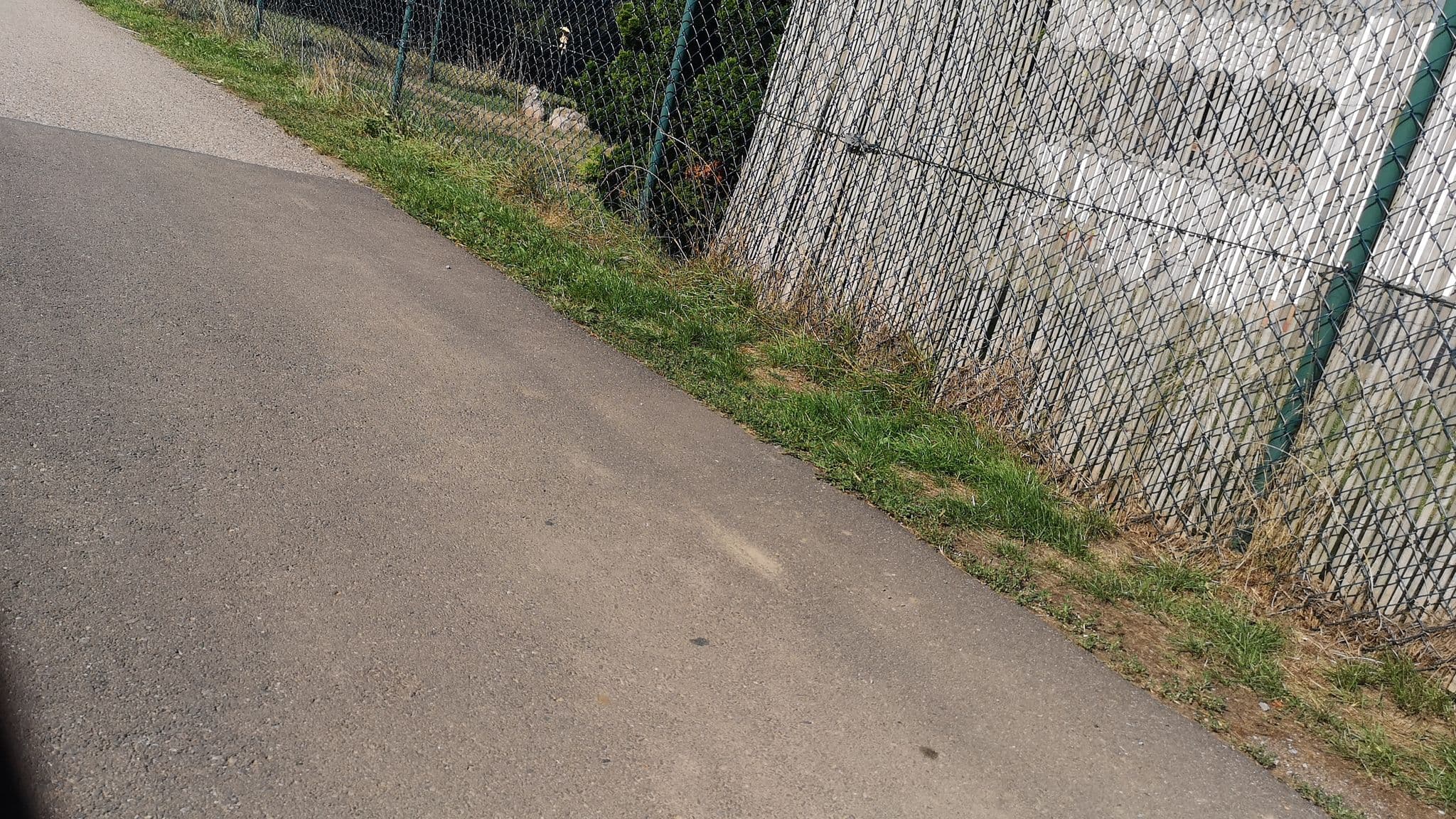 Street view near Eifelstuebchen-Babel, Nideggen — © rasenderrolli (CC BY-SA · Mapillary)