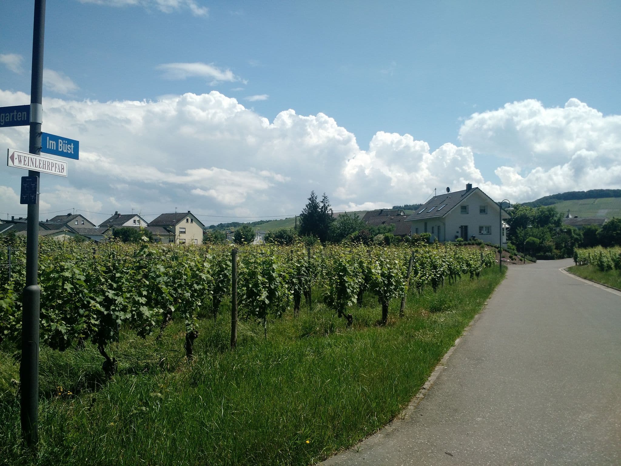 Street view near GKG GmbH, Osann-Monzel — © redrace (CC BY-SA · Mapillary)