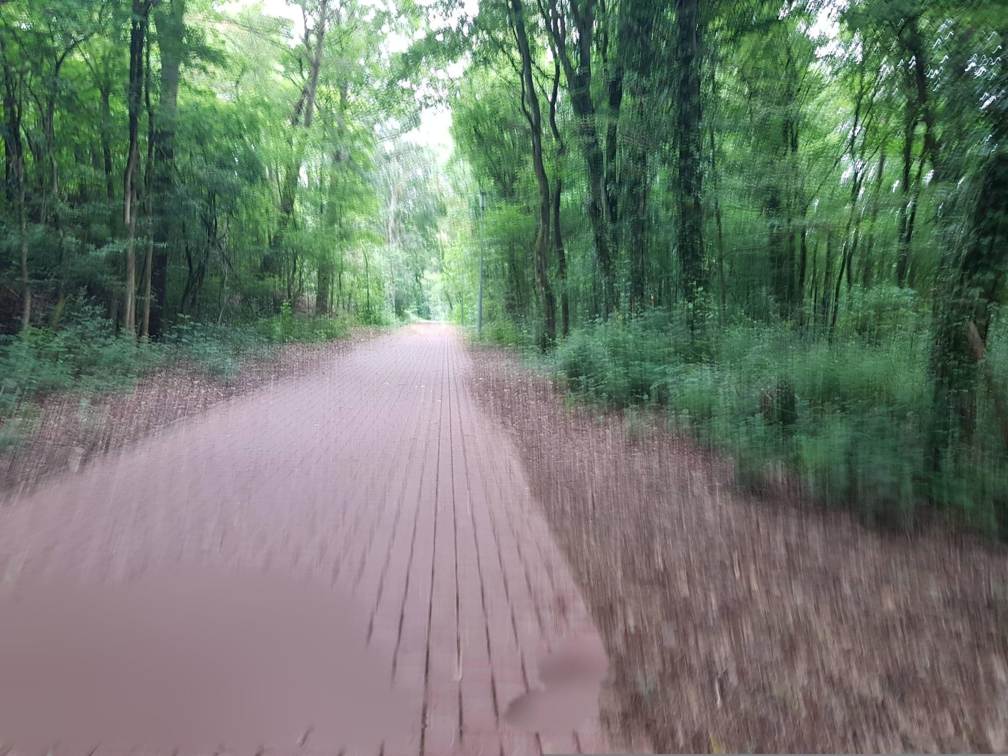Street view near Schwimmbad, Bernkastel-Kues — © Lowiekse (CC BY-SA · Mapillary)