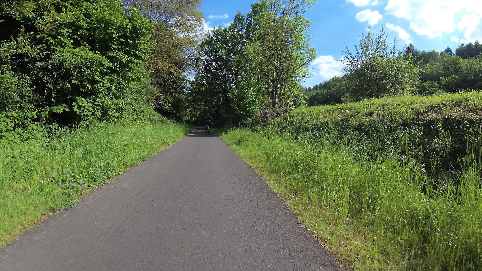 Street view near Astrid Ruppenthal, Lieser — © teddy73 (CC BY-SA · Mapillary)