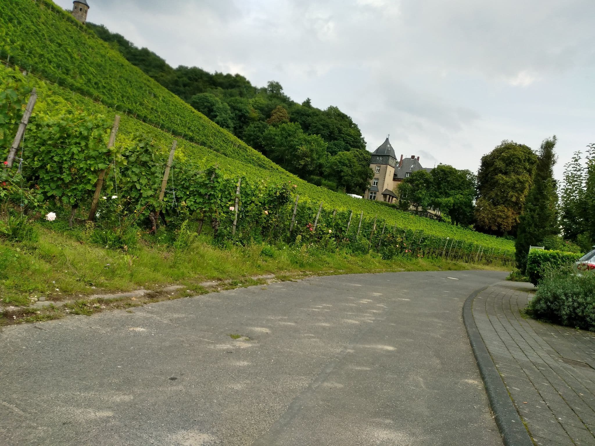 Street view near Weingut und Hotel Haus am Drachenloch, Königswinter — © schwing (CC BY-SA · Mapillary)