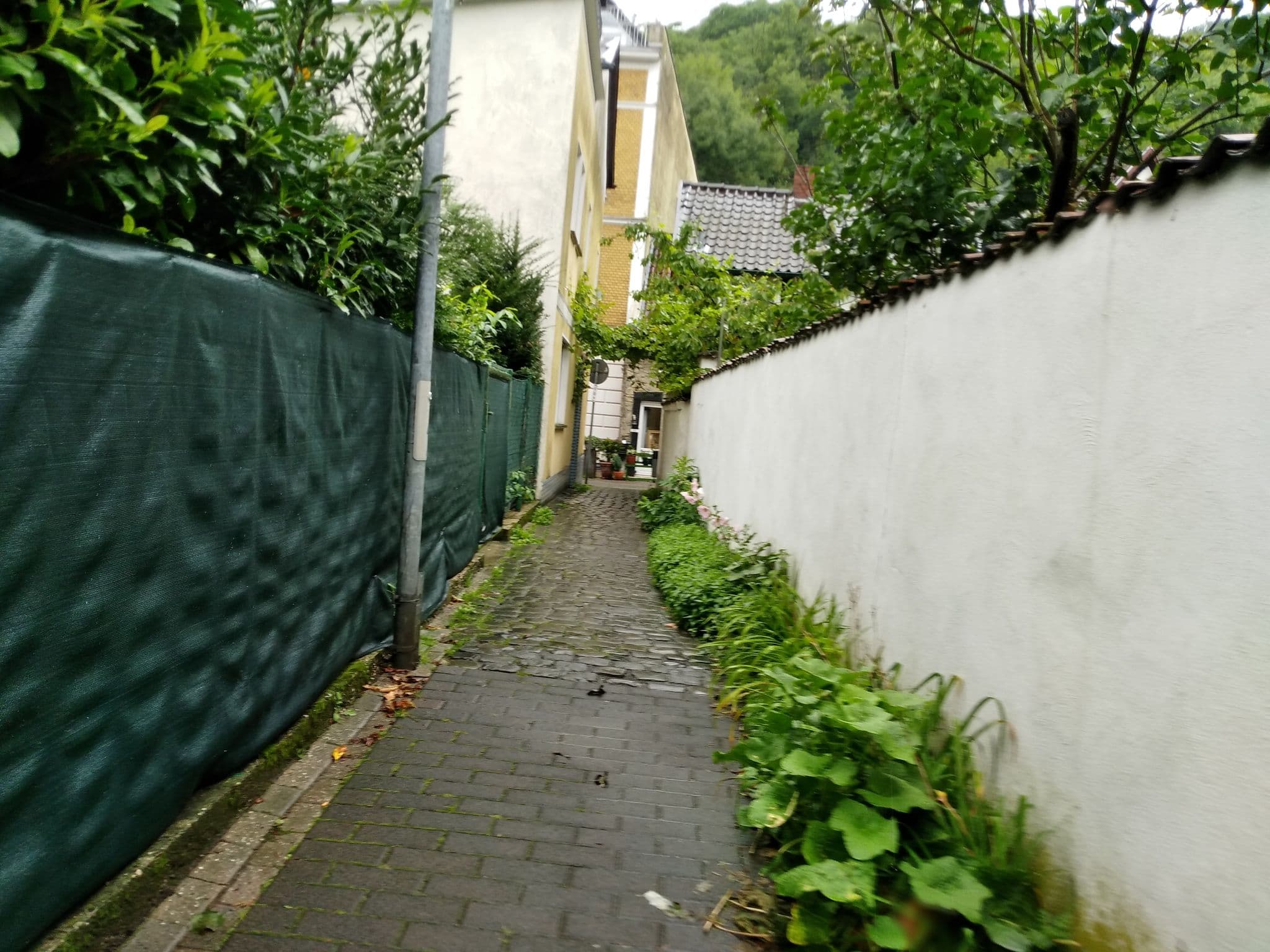 Street view near Hotel Rebengarten, Bad Honnef — © schwing (CC BY-SA · Mapillary)