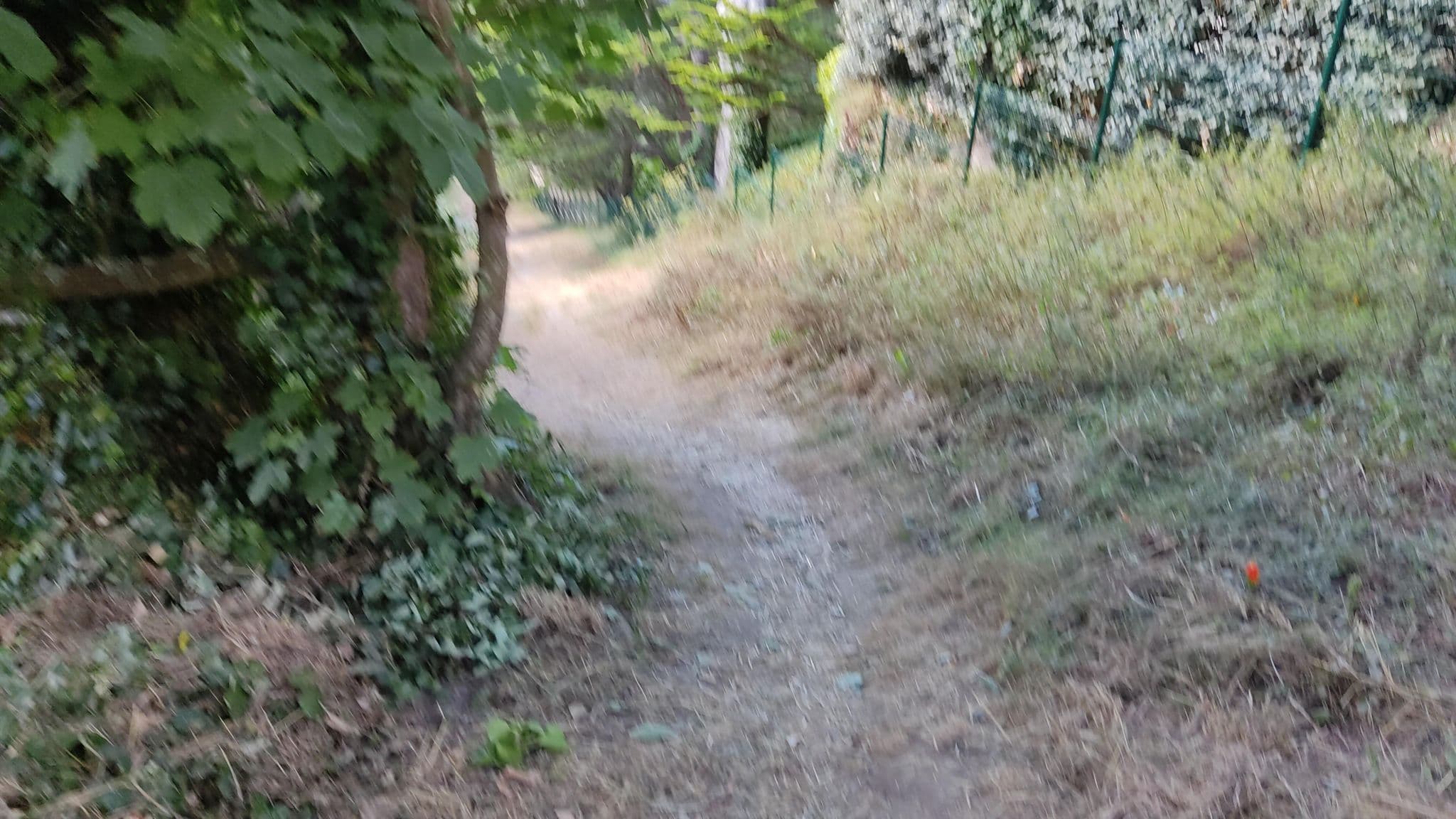 Street view near Ti al Lannec, Trébeurden — © whatismoss (CC BY-SA · Mapillary)