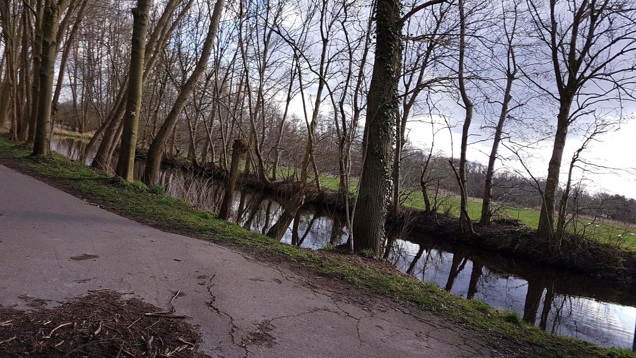 Street view near Hotel-Cafe-Restaurant Borner Mühle, Brüggen — © gboellertz (CC BY-SA · Mapillary)