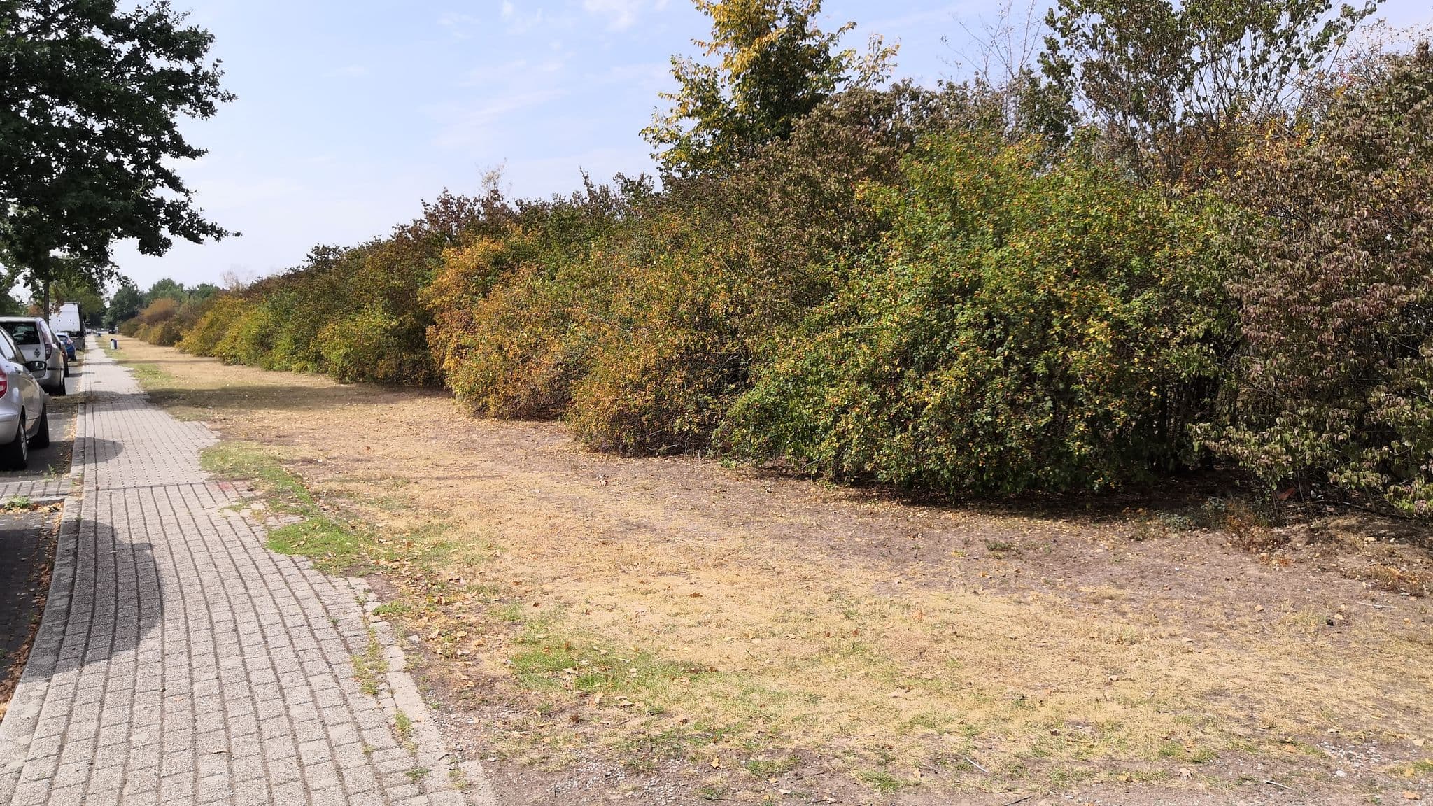 Street view near BEW - Das Bildungszentrum für die Ver- und Entsorgungswirtschaft GmbH, Rheinhausen — © ralrei (CC BY-SA · Mapillary)