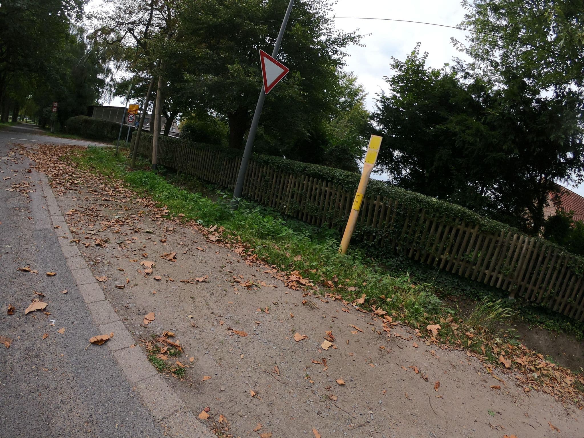 Street view near Gelsen-Zimmer GmbH, Buer — © geogladbecker (CC BY-SA · Mapillary)