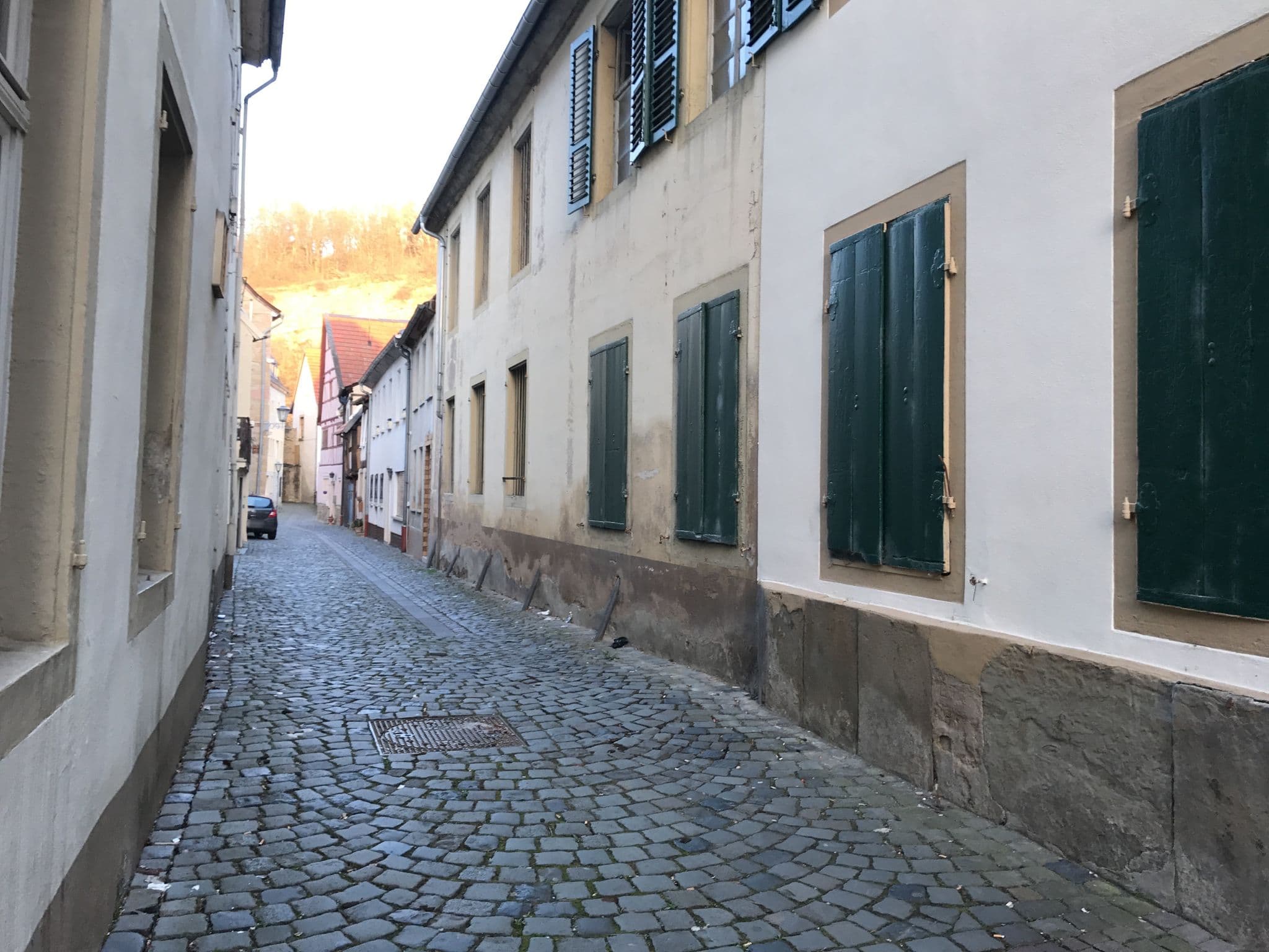 Street view near A Puricelli Palais, Meisenheim — © miguel_andrade (CC BY-SA · Mapillary)