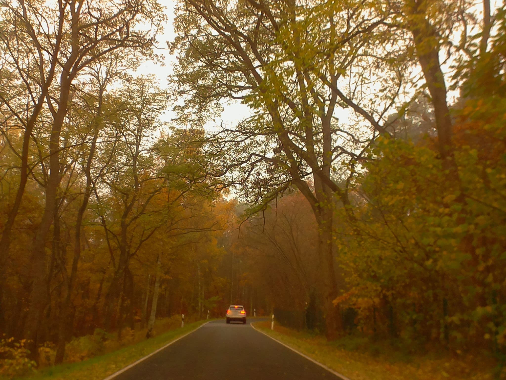 Street view near Ferienwohnung Altleiningen, Altleiningen — © ramap (CC BY-SA · Mapillary)