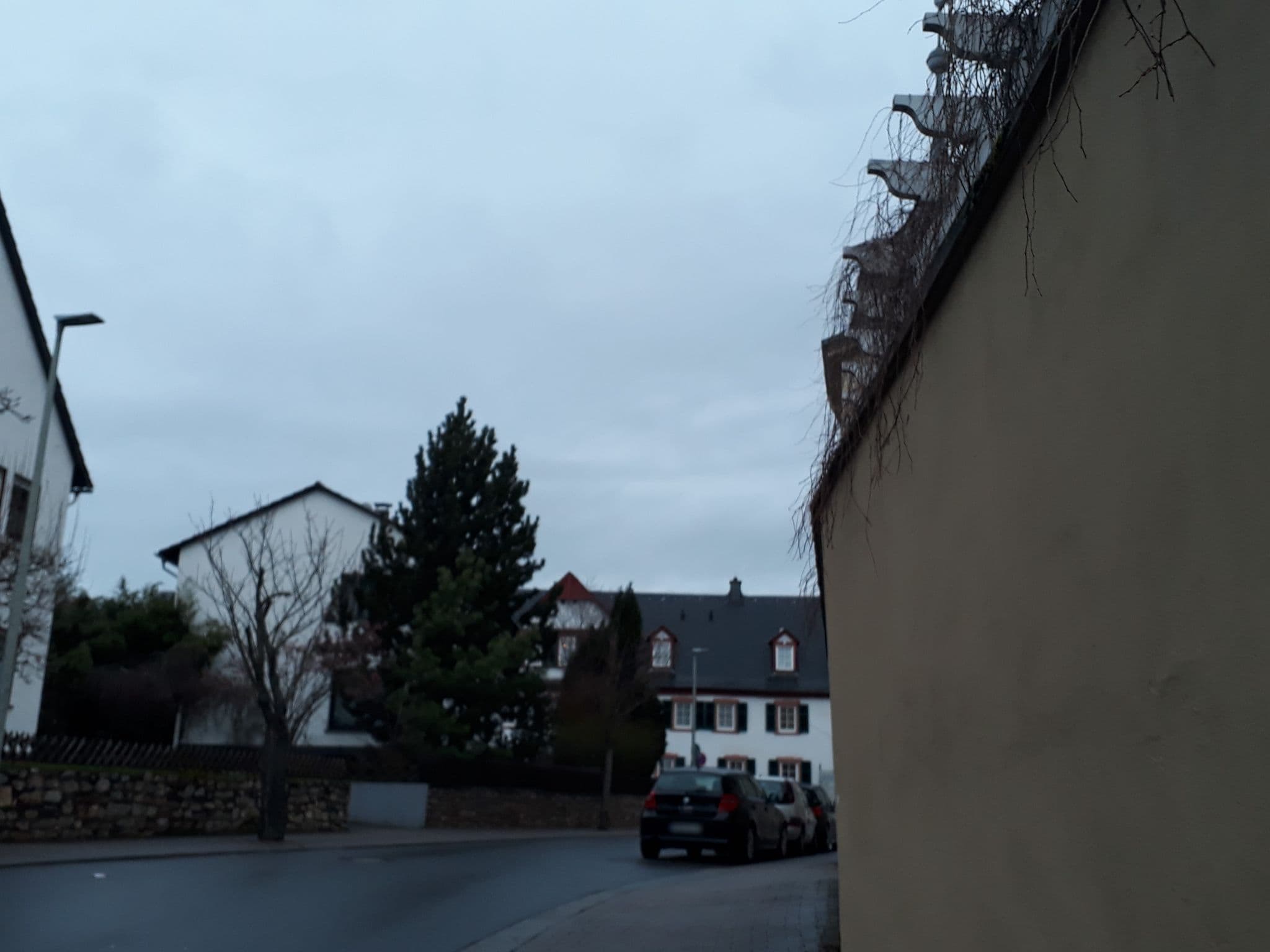 Street view near Ferienwohnung SunShine / Rheingau, Geisenheim — © negro (CC BY-SA · Mapillary)