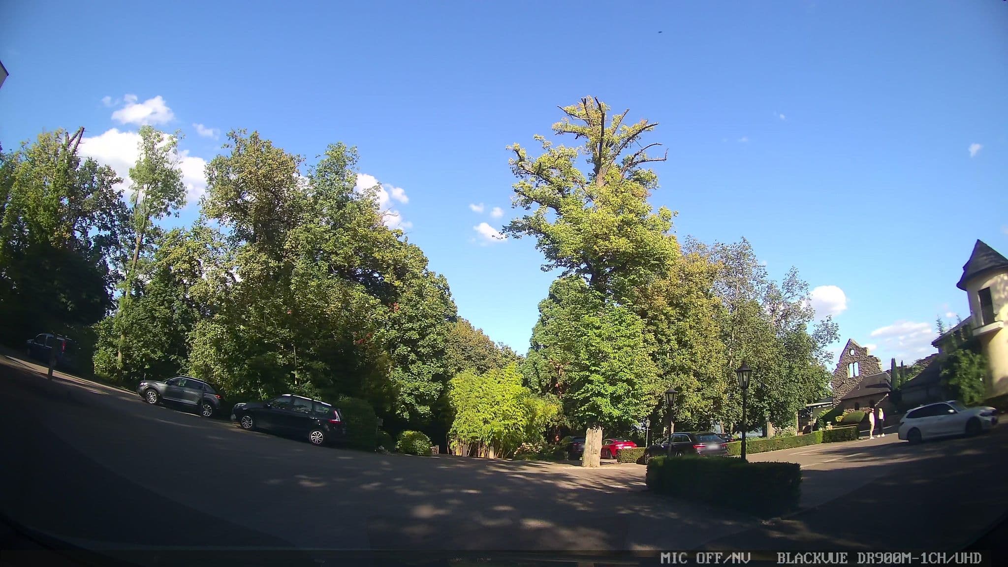 Street view near Room 103 Hotel Burg Schwarzenstein, Geisenheim — © chuck (CC BY-SA · Mapillary)