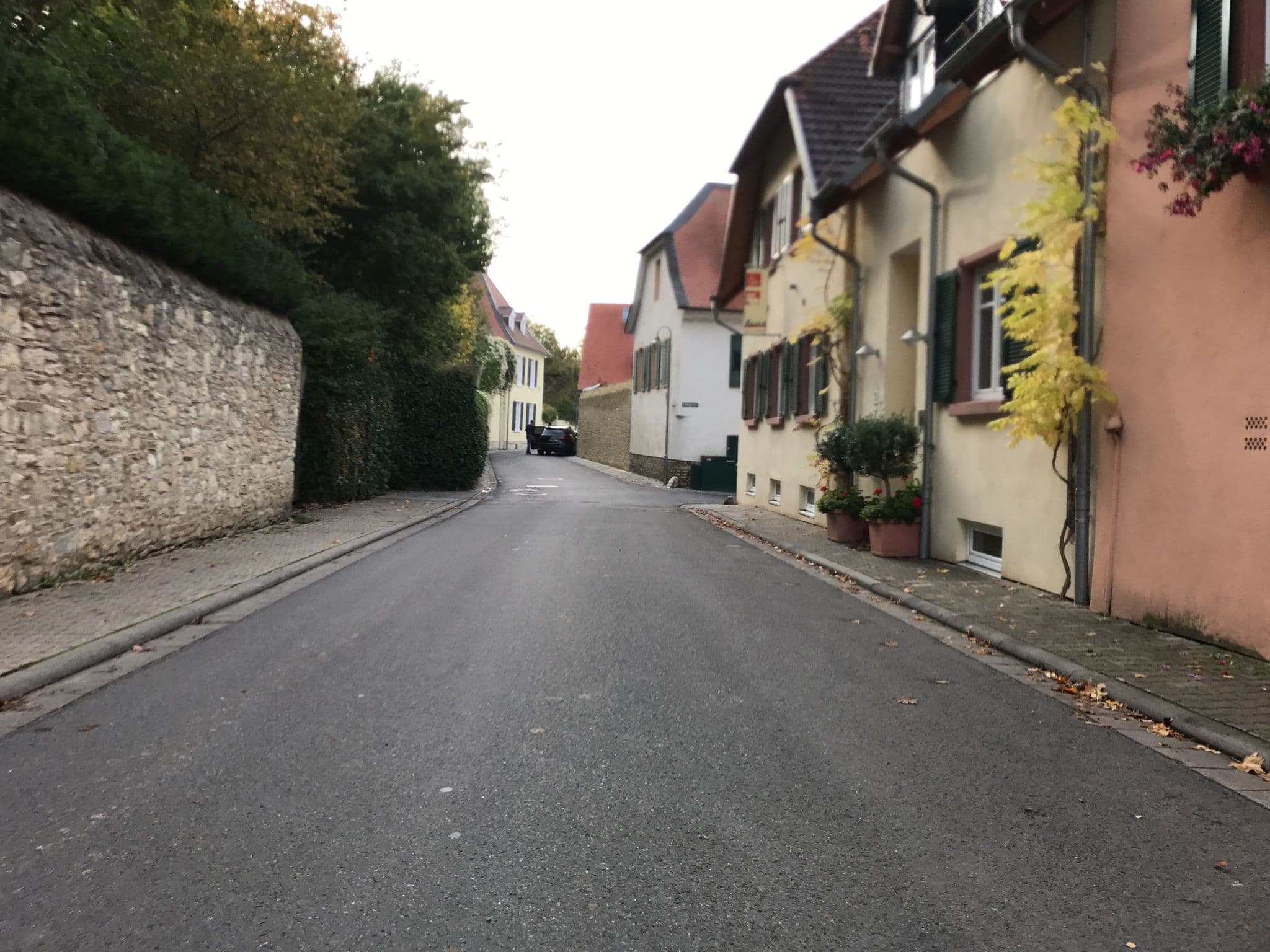 Street view near Wasem Weinhotel, Ingelheim am Rhein — © miguel_andrade (CC BY-SA · Mapillary)