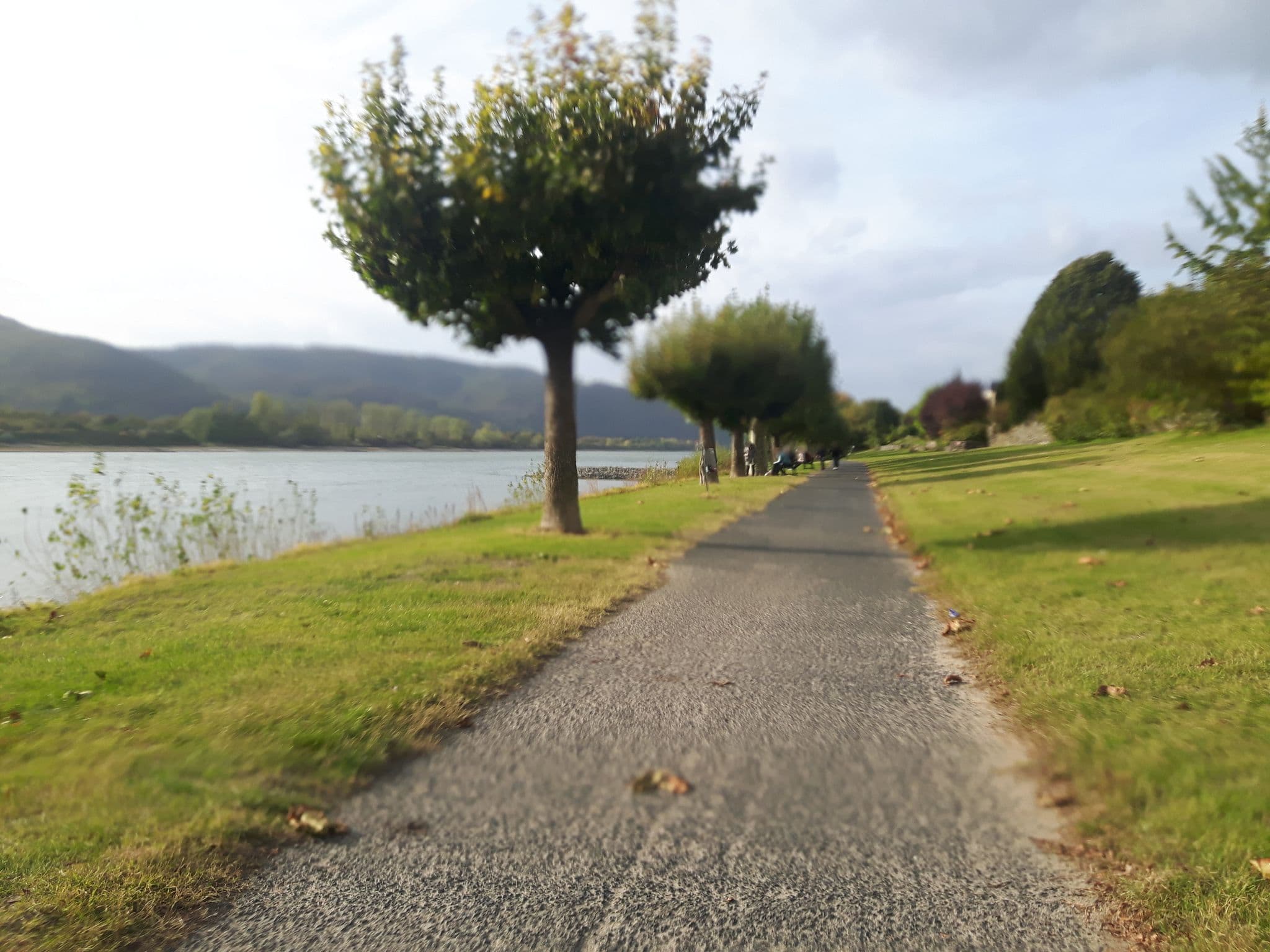 Street view near Pension Geisierblick Manfred Esser, Leutesdorf — © changchun1 (CC BY-SA · Mapillary)