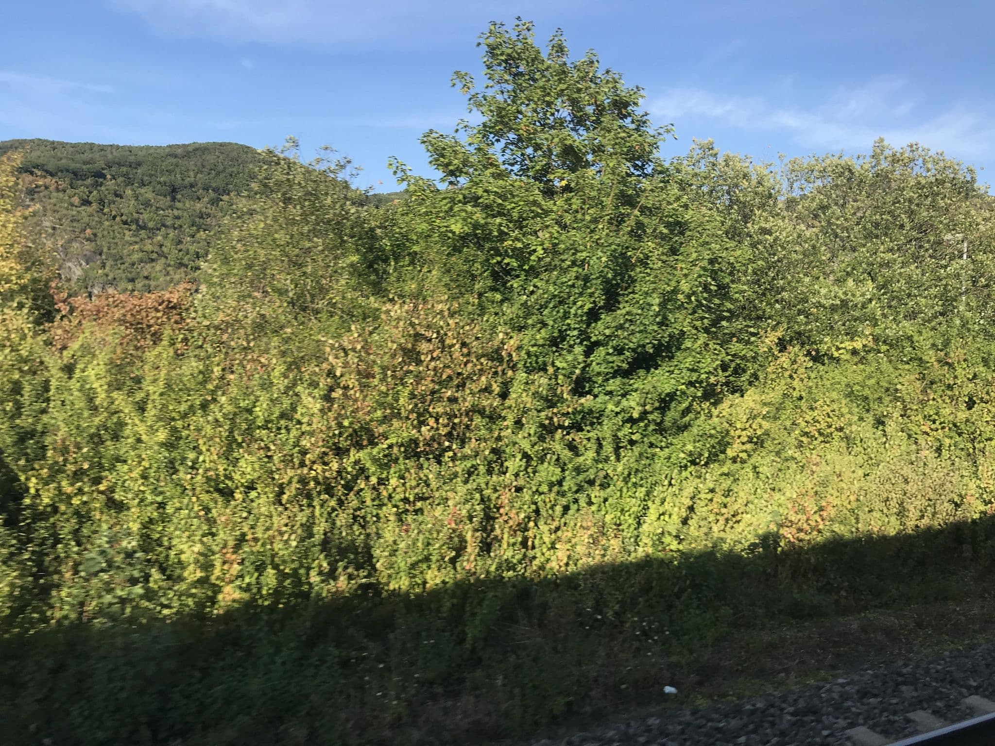 Street view near Gartenhotel Scheiner, Kamp-Bornhofen — © miguel_andrade (CC BY-SA · Mapillary)