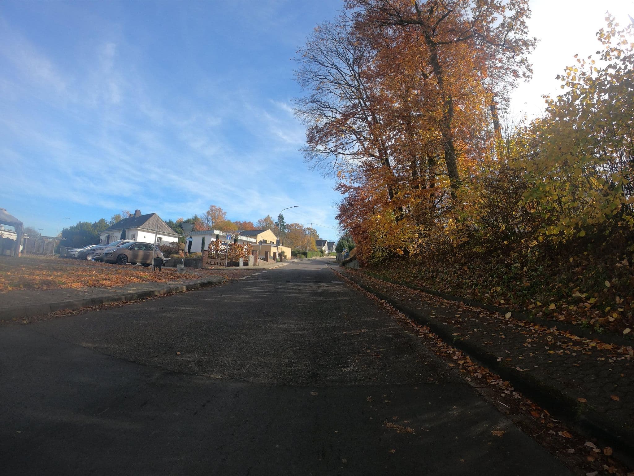 Street view near Pension Sonnenhof, Steimel — © bernd1960 (CC BY-SA · Mapillary)