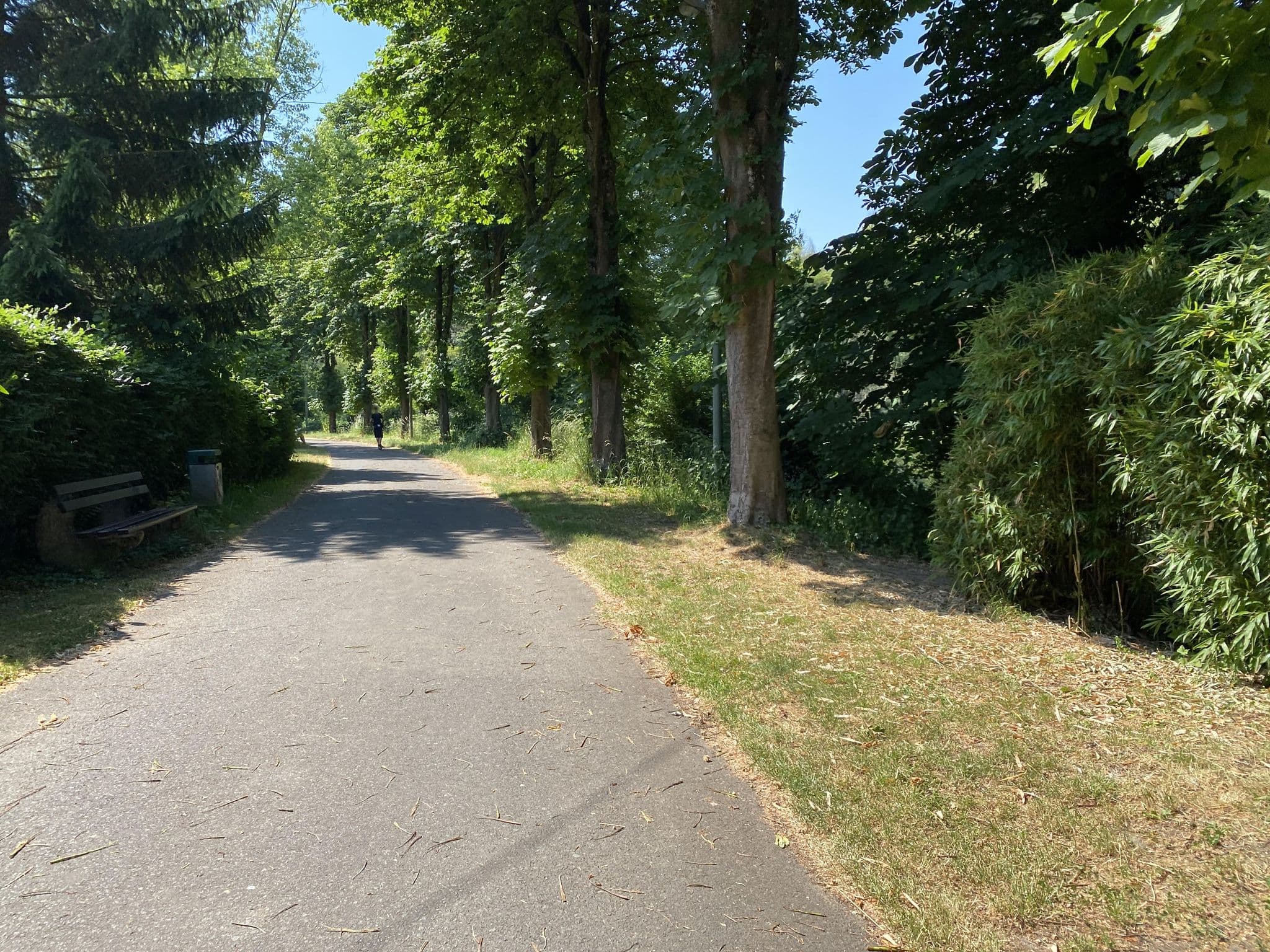 Street view near Ferienwohnung Haus Schillerallee, Bad Ems — © troher15 (CC BY-SA · Mapillary)