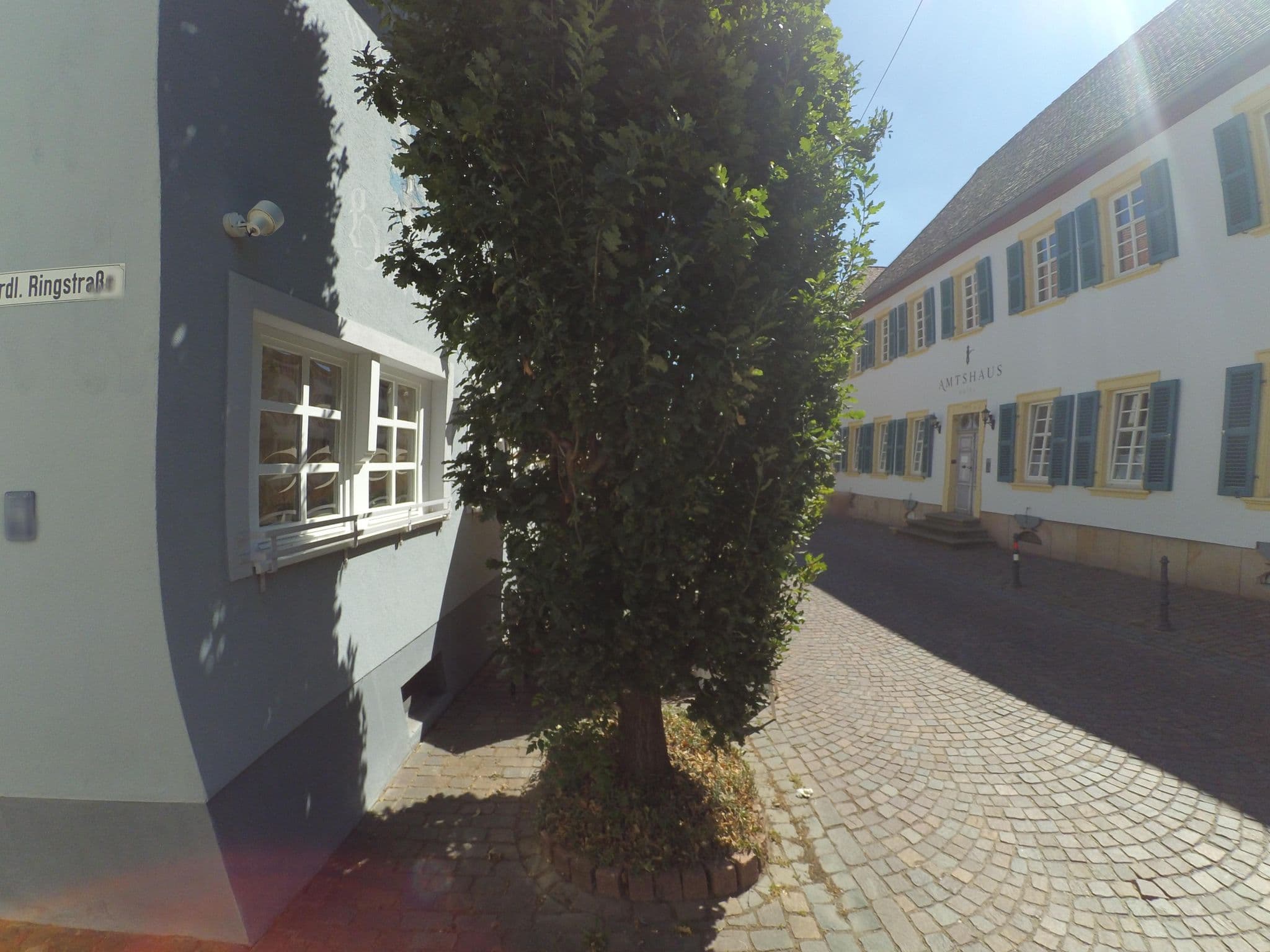 Street view near 1514 Boutique Hotel Freinsheim, Freinsheim — © wegavision (CC BY-SA · Mapillary)