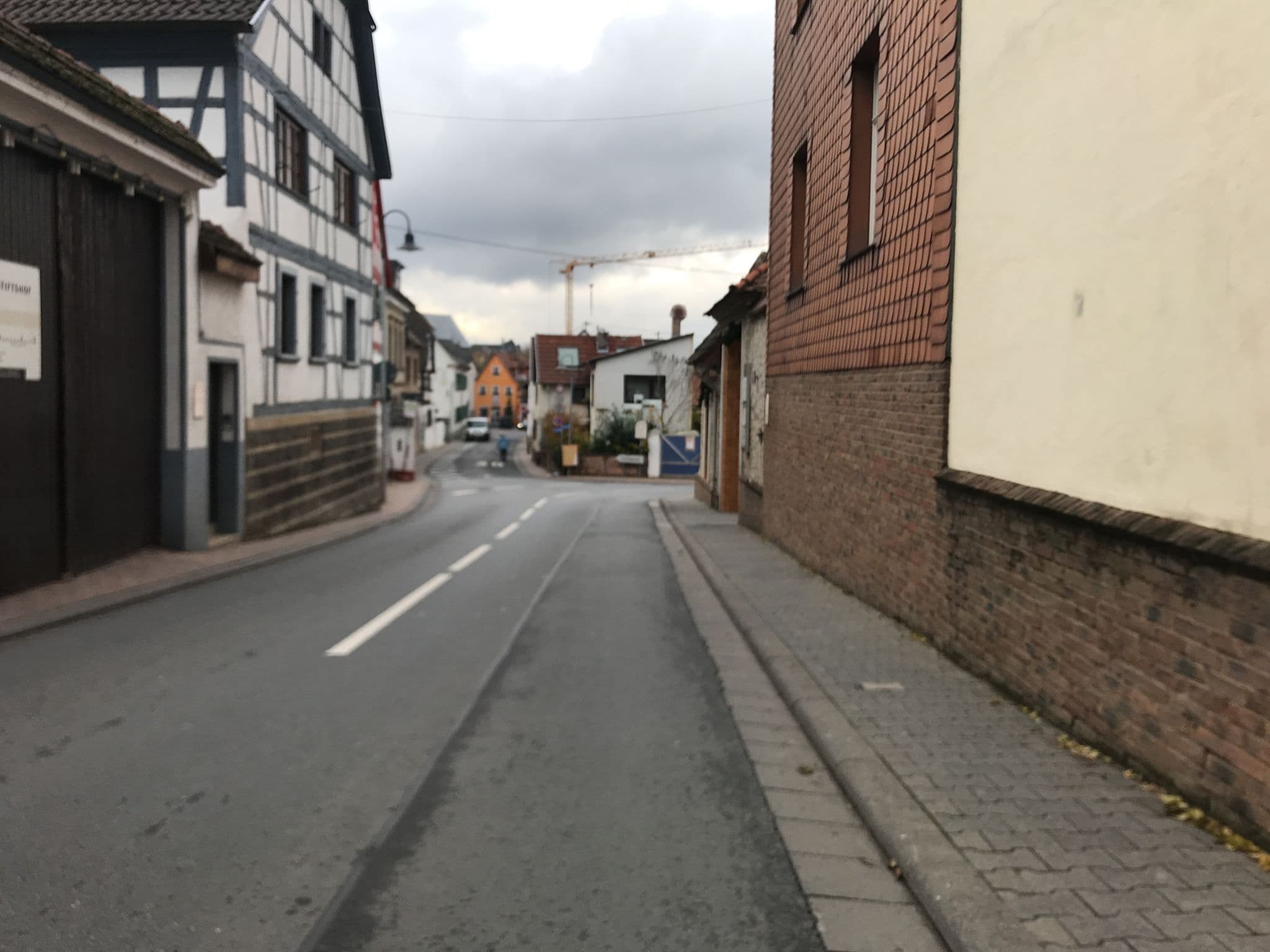 Street view near Kartäuser Hof, Bodenheim — © miguel_andrade (CC BY-SA · Mapillary)