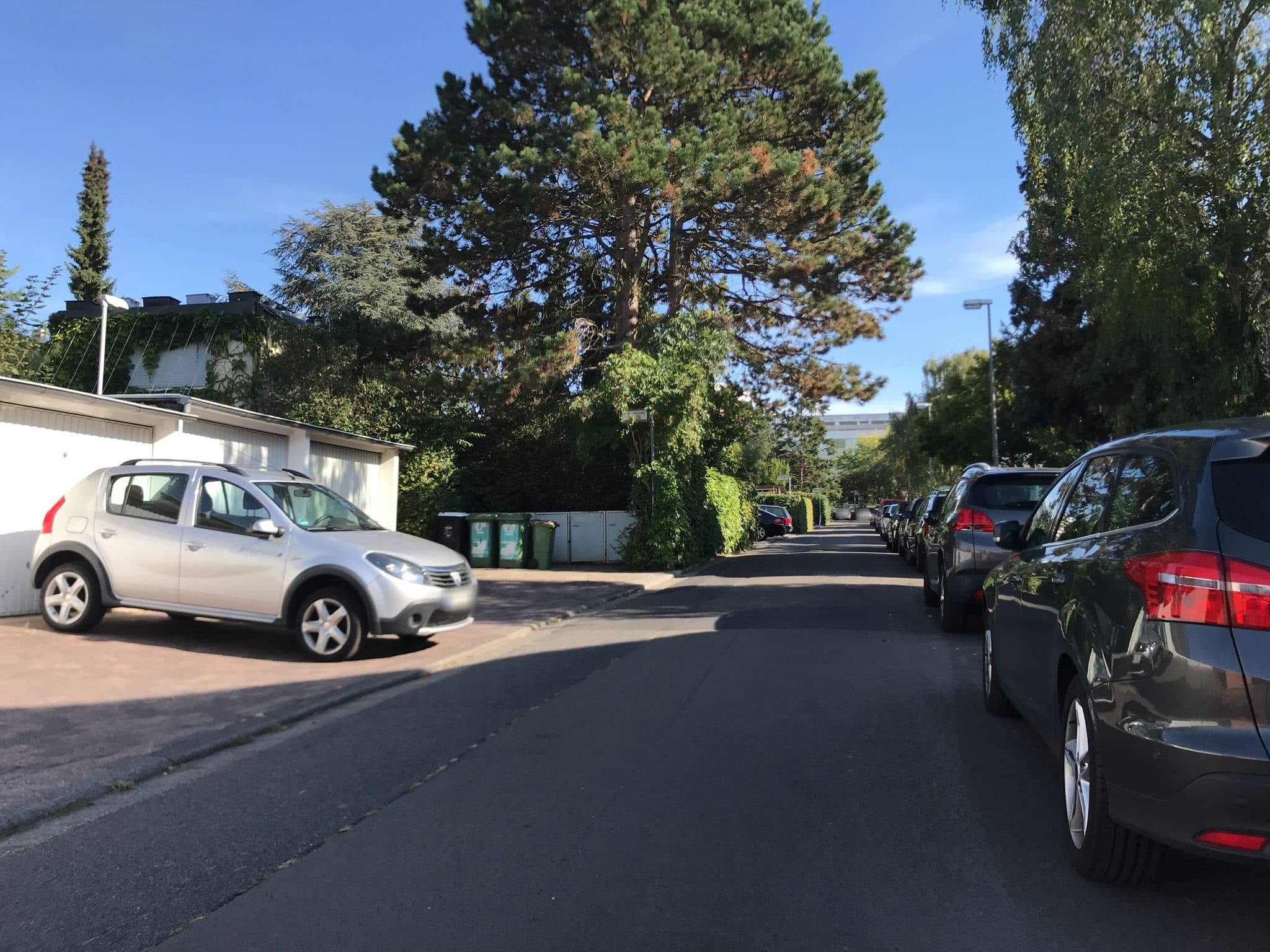 Street view near Zentrale DJH Landesverband Rheinland Pfalz/Saarland, Gonsenheim — © miguel_andrade (CC BY-SA · Mapillary)