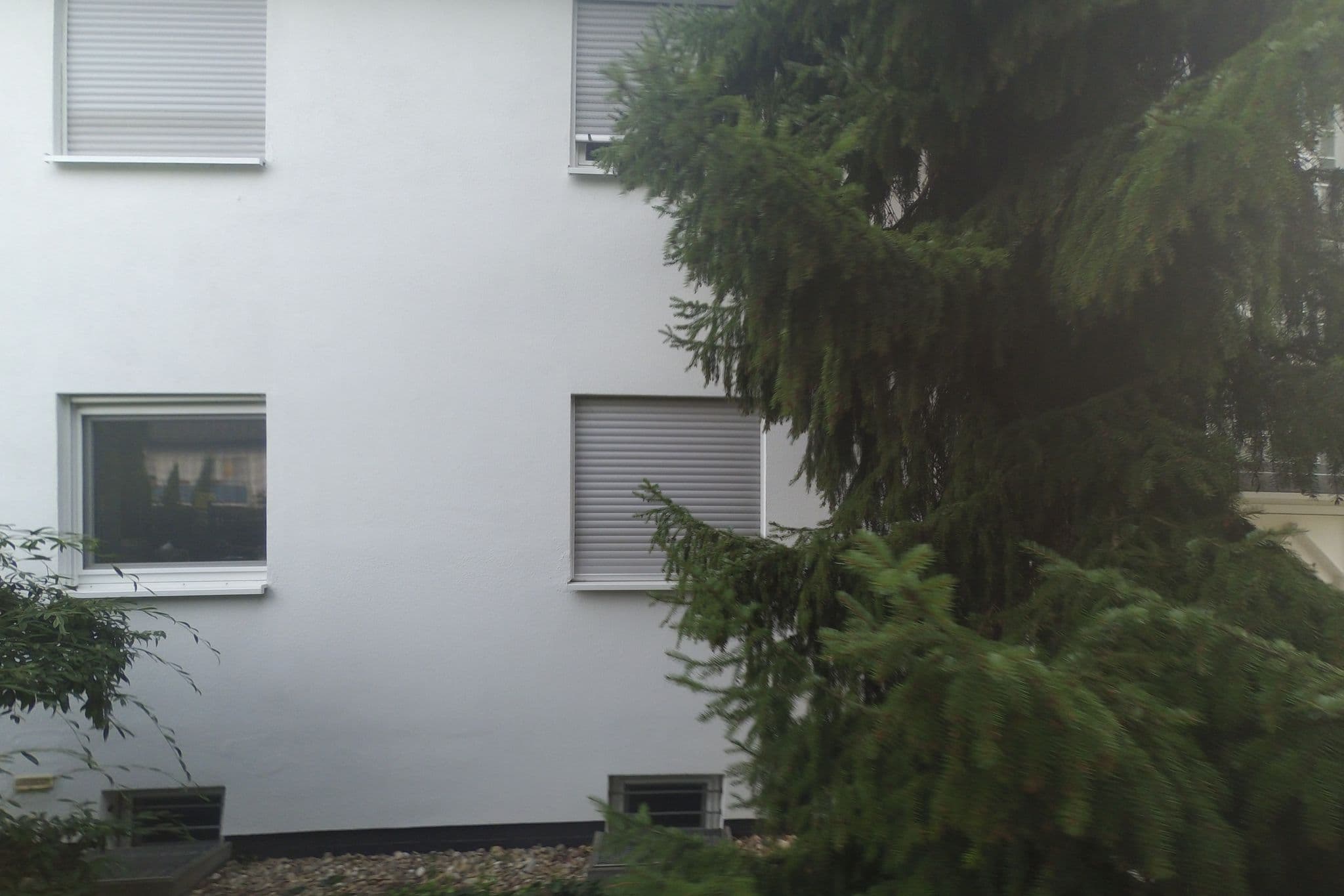 Street view near Katzenpension Marhöfer Tierpension, Altrip — © wegavision (CC BY-SA · Mapillary)