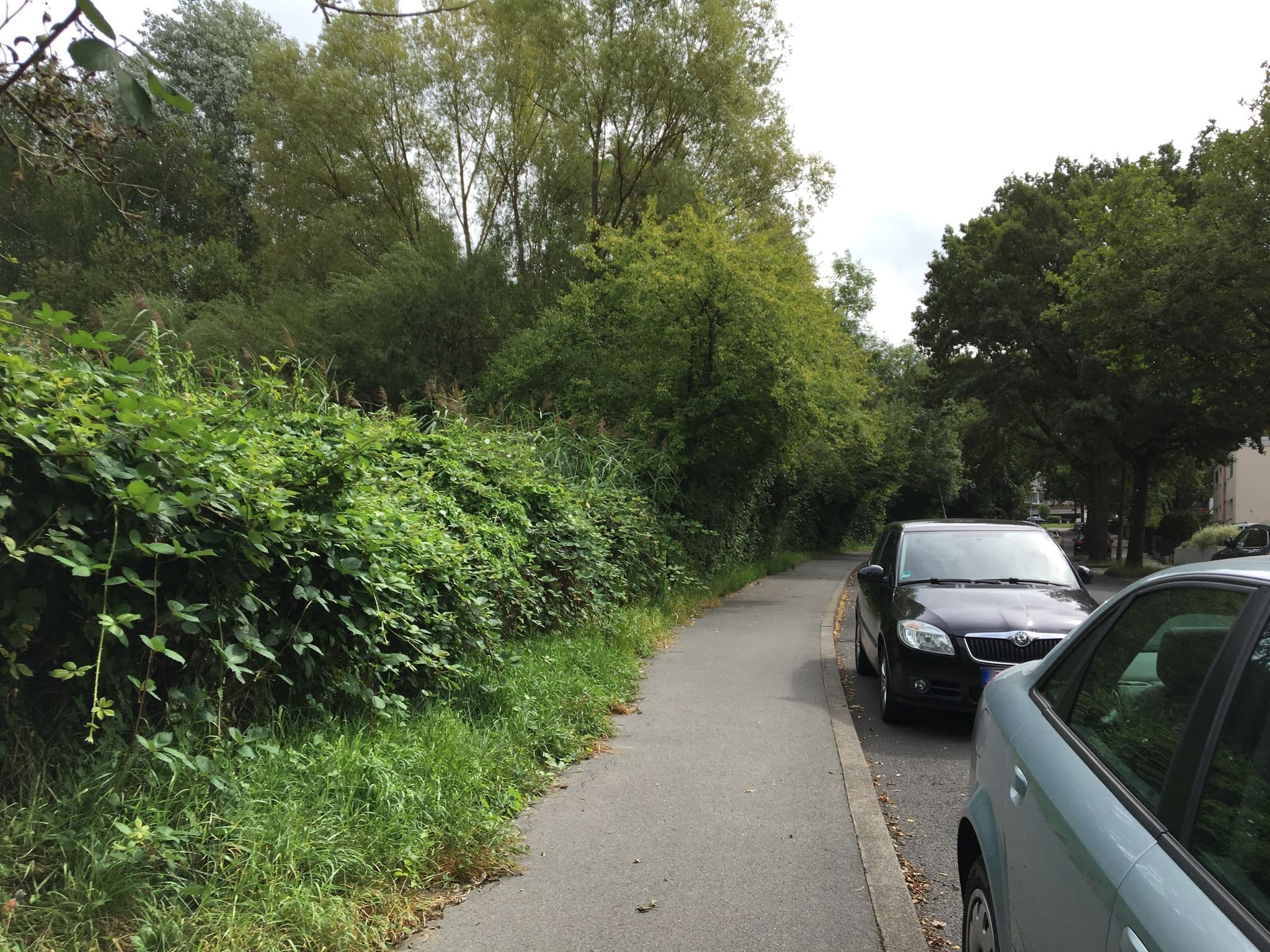 Street view near Hotel Braun, Sonnenberg — © chuck (CC BY-SA · Mapillary)