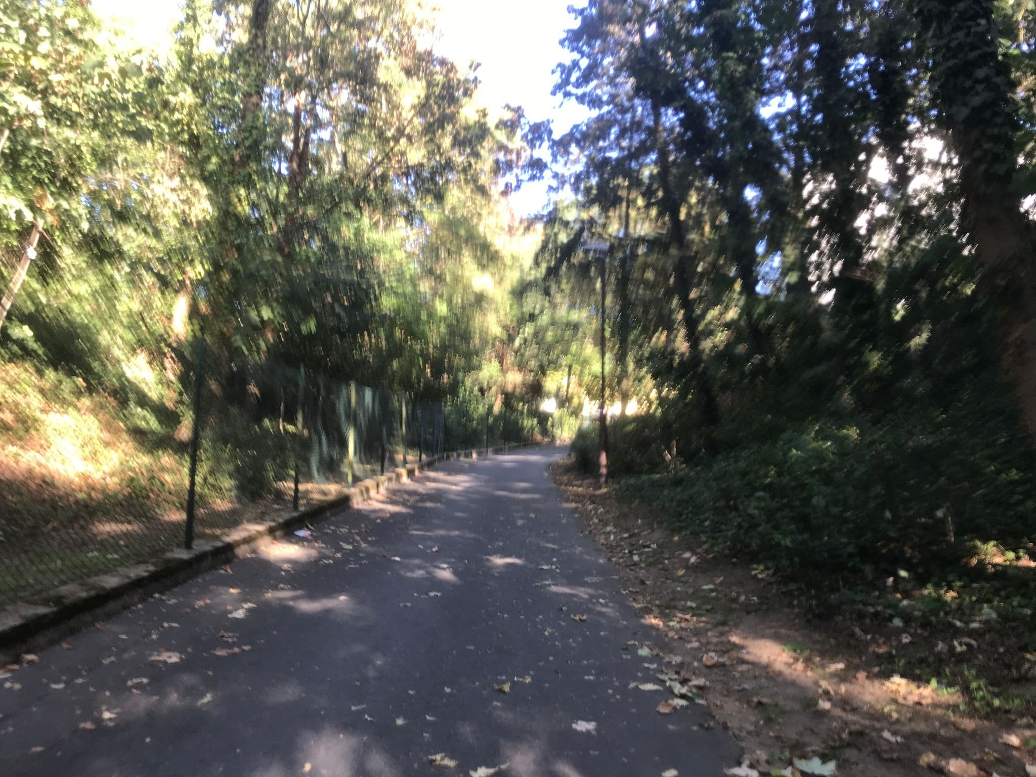 Street view near Kolev Apartments, Kelsterbach — © miguel_andrade (CC BY-SA · Mapillary)