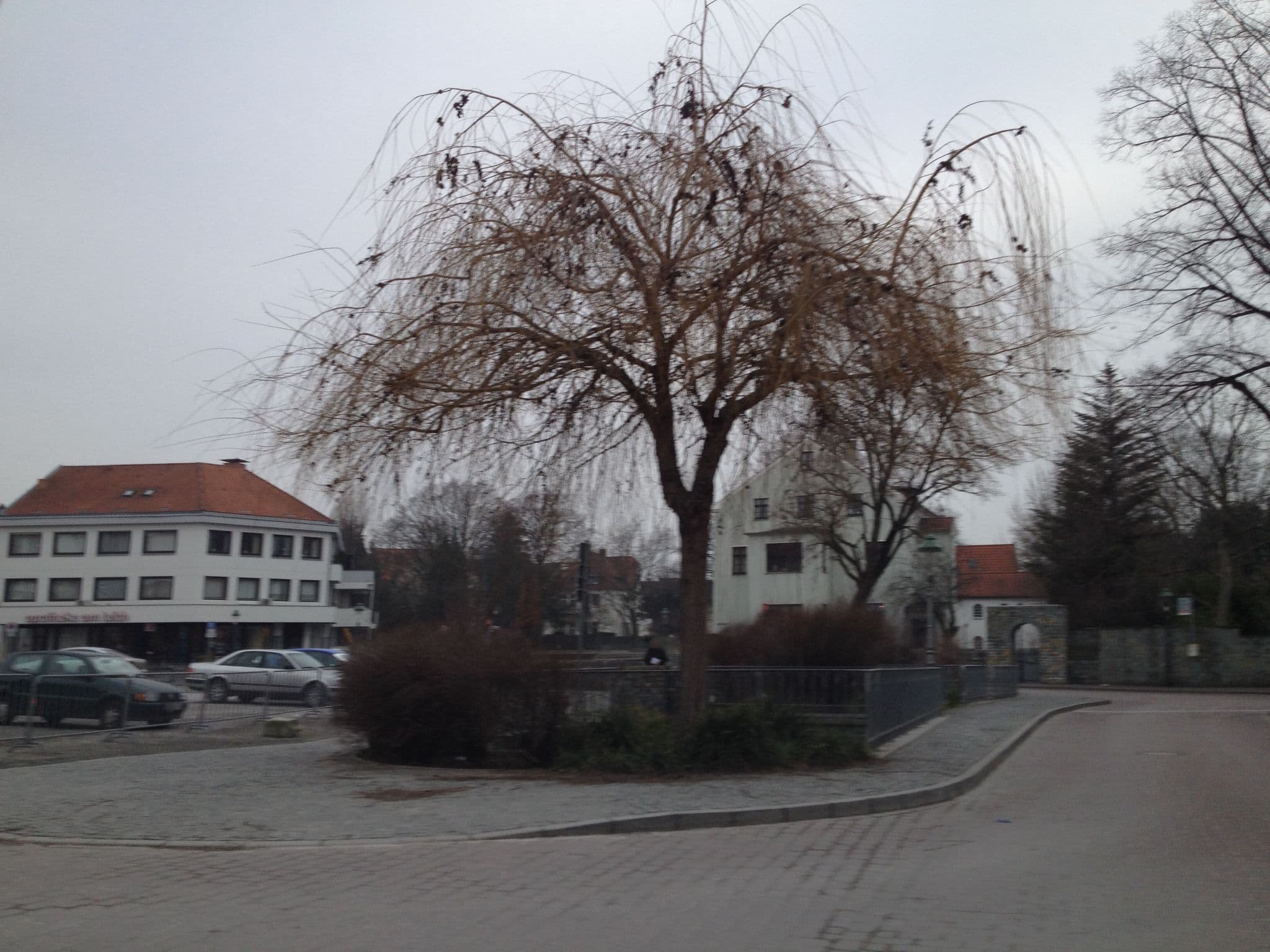 Street view near Domhof Restaurant & Hotel, Soest — © nicolaus1977 (CC BY-SA · Mapillary)