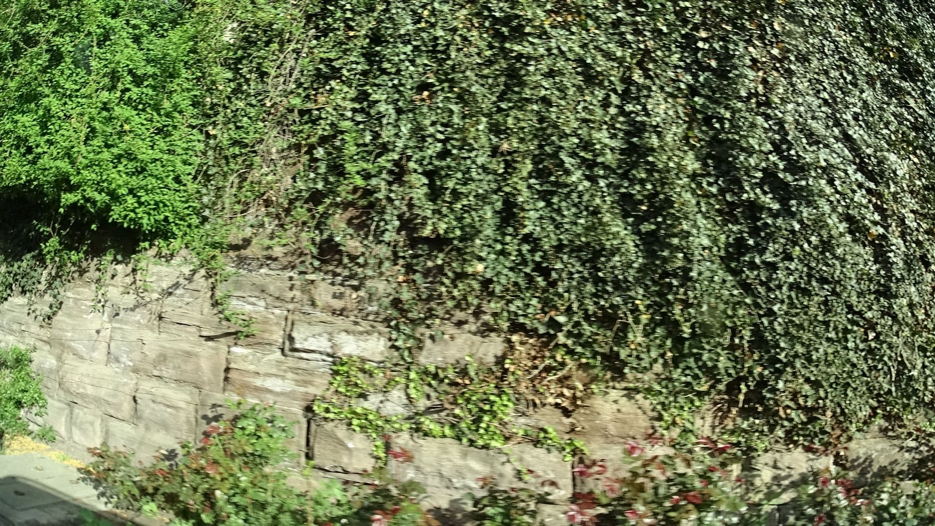 Street view near Rosenlounge, Rosenfeld — © ramap (CC BY-SA · Mapillary)
