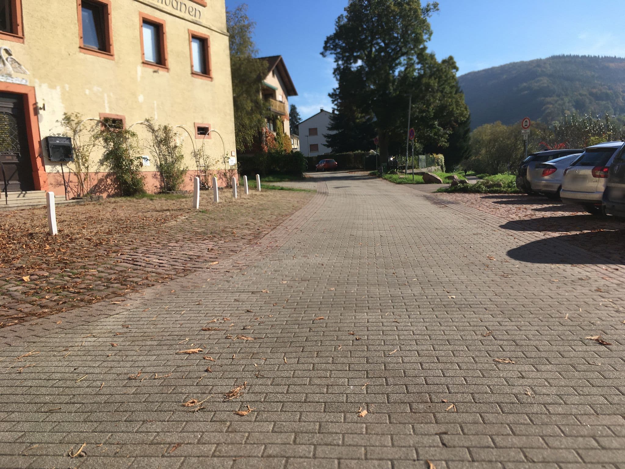 Street view near Hotel Zum Schwanen, Neckargemünd — © changchun1 (CC BY-SA · Mapillary)
