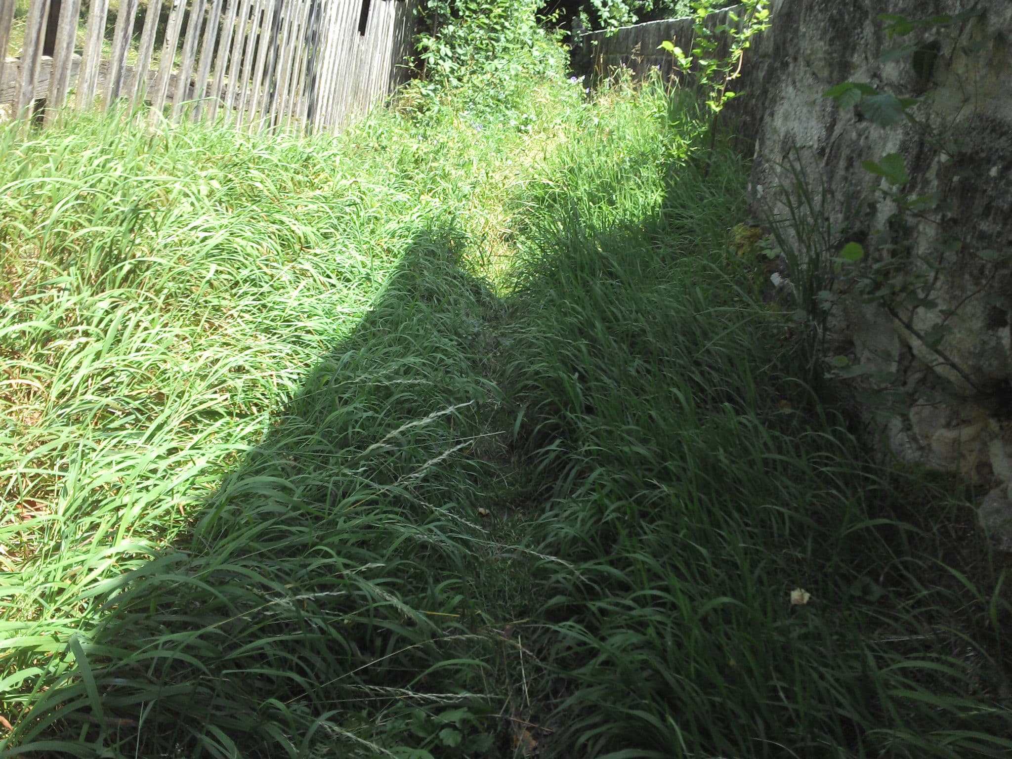 Street view near Marienburg Schullandheim, Hüttlingen — © warden (CC BY-SA · Mapillary)