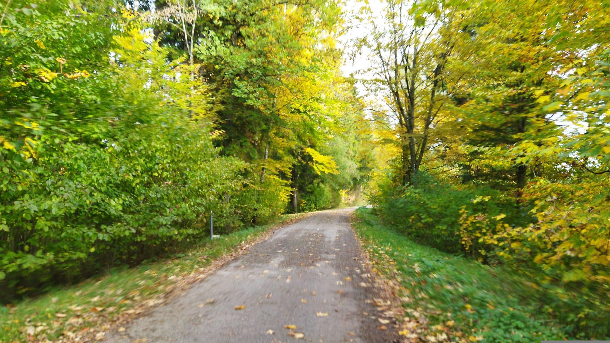 Street view near Ammerhaus Kreisjugendring Weilheim-Schongau, Peißenberg — © changchun1 (CC BY-SA · Mapillary)