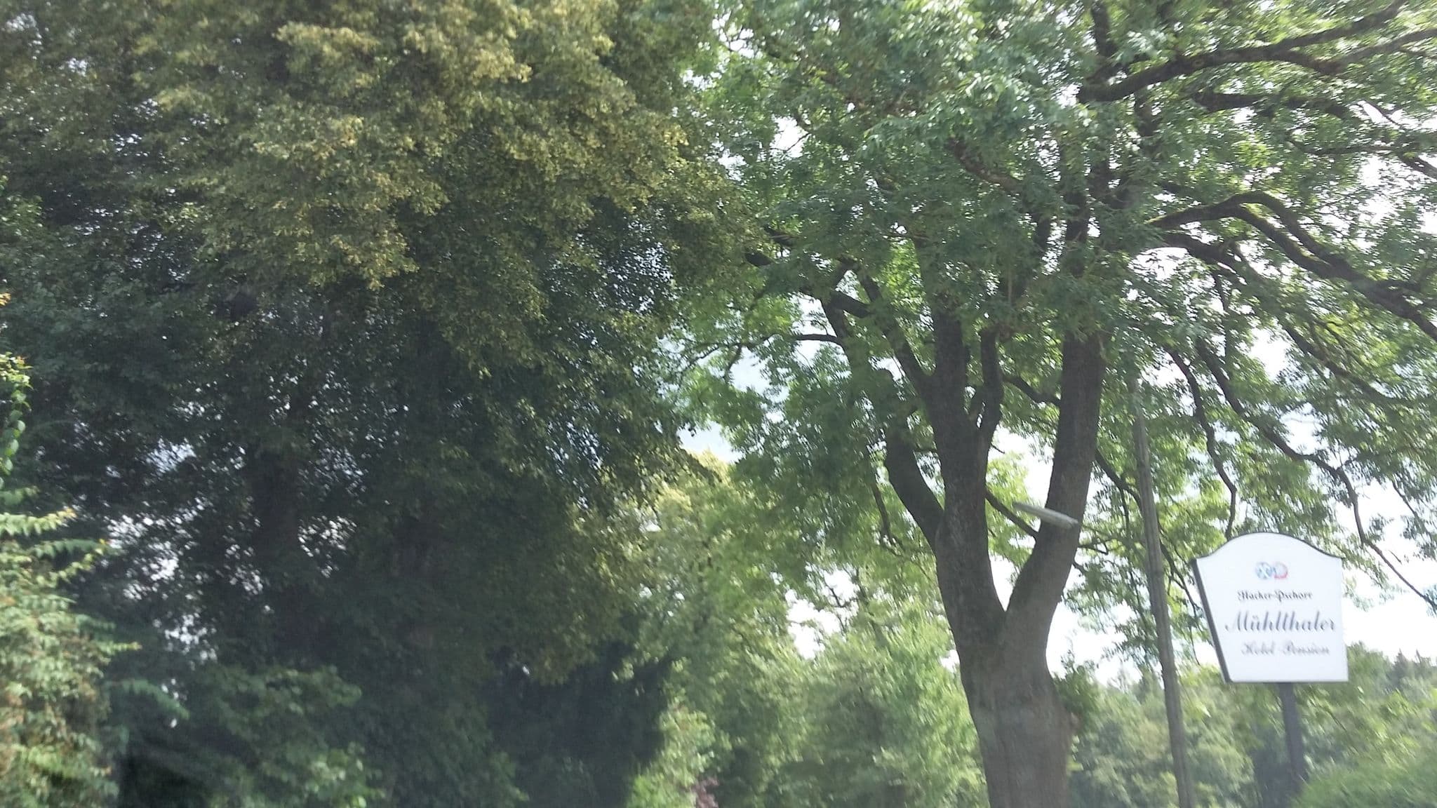 Street view near Mühlthaler, Krailling — © maturion (CC BY-SA · Mapillary)