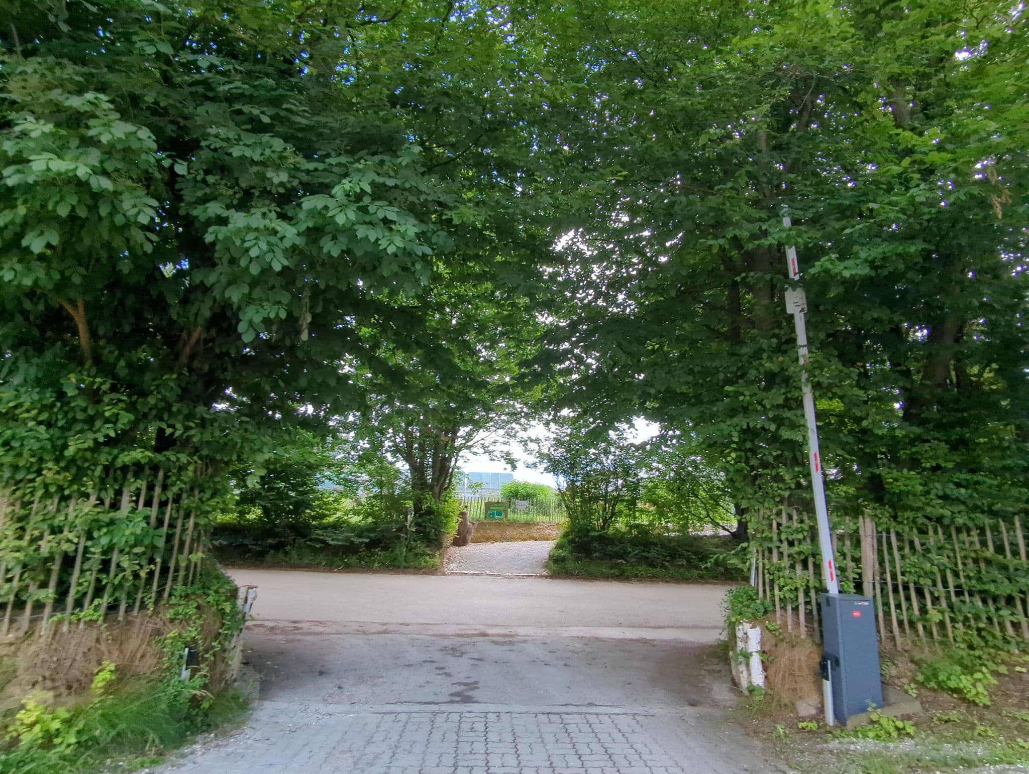 Street view near Landgasthof Waldvogel Leipheim, Bubesheim — © ente (CC BY-SA · Mapillary)