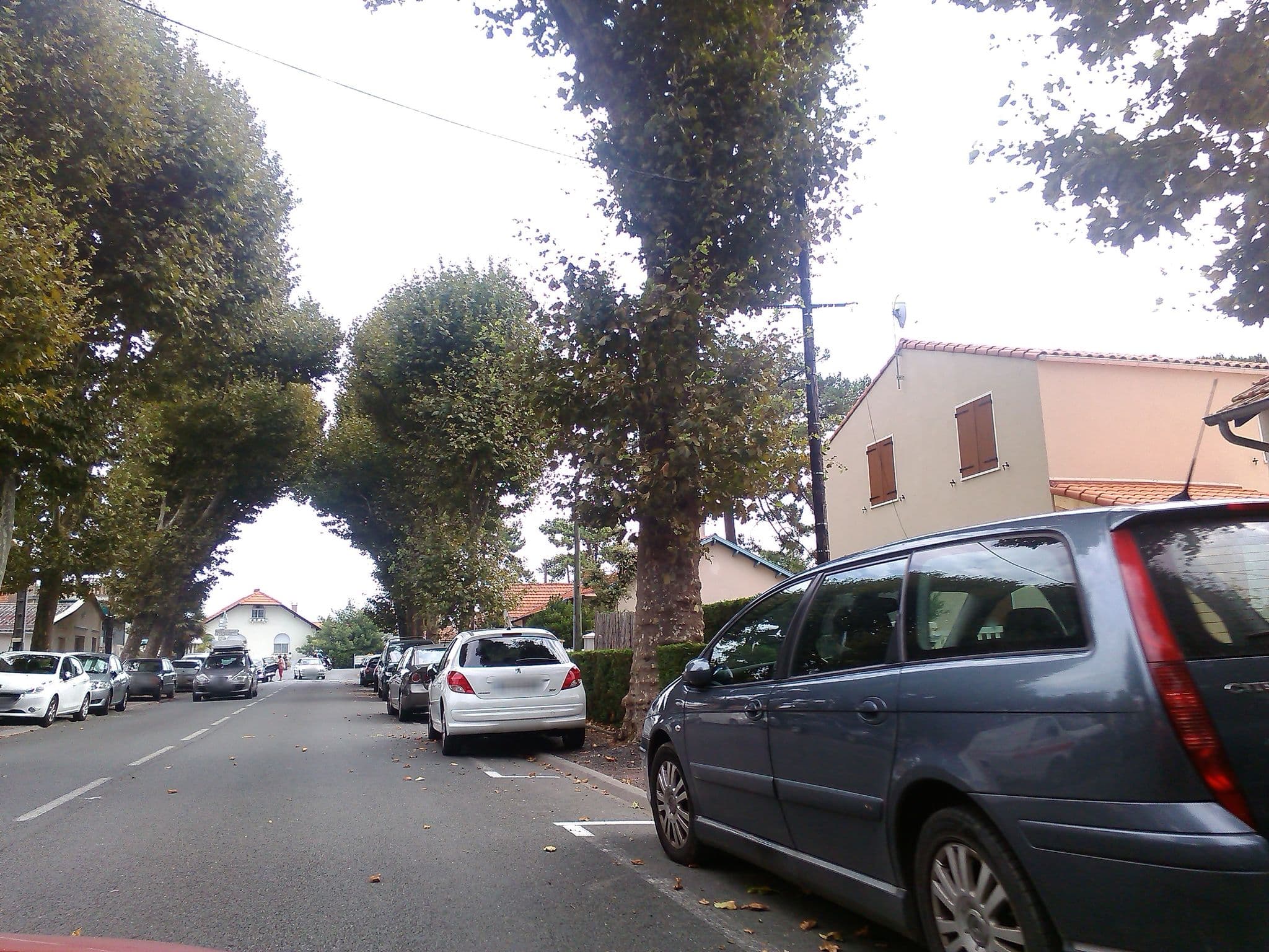 Street view near La coccinelle, La Tremblade — © maturion (CC BY-SA · Mapillary)