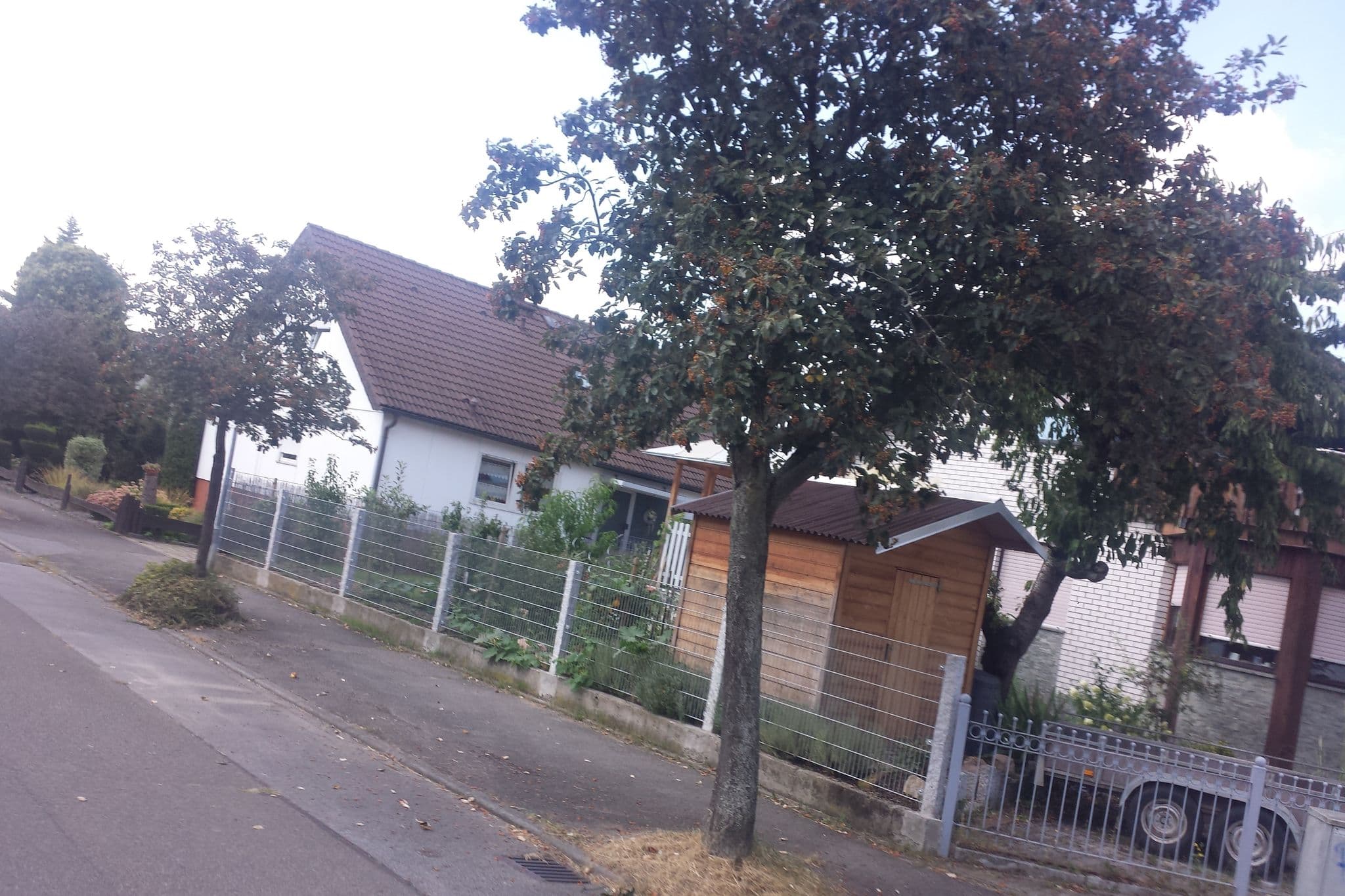 Street view near Ferien-im-Leuchttum, Hemsbach — © wegavision (CC BY-SA · Mapillary)