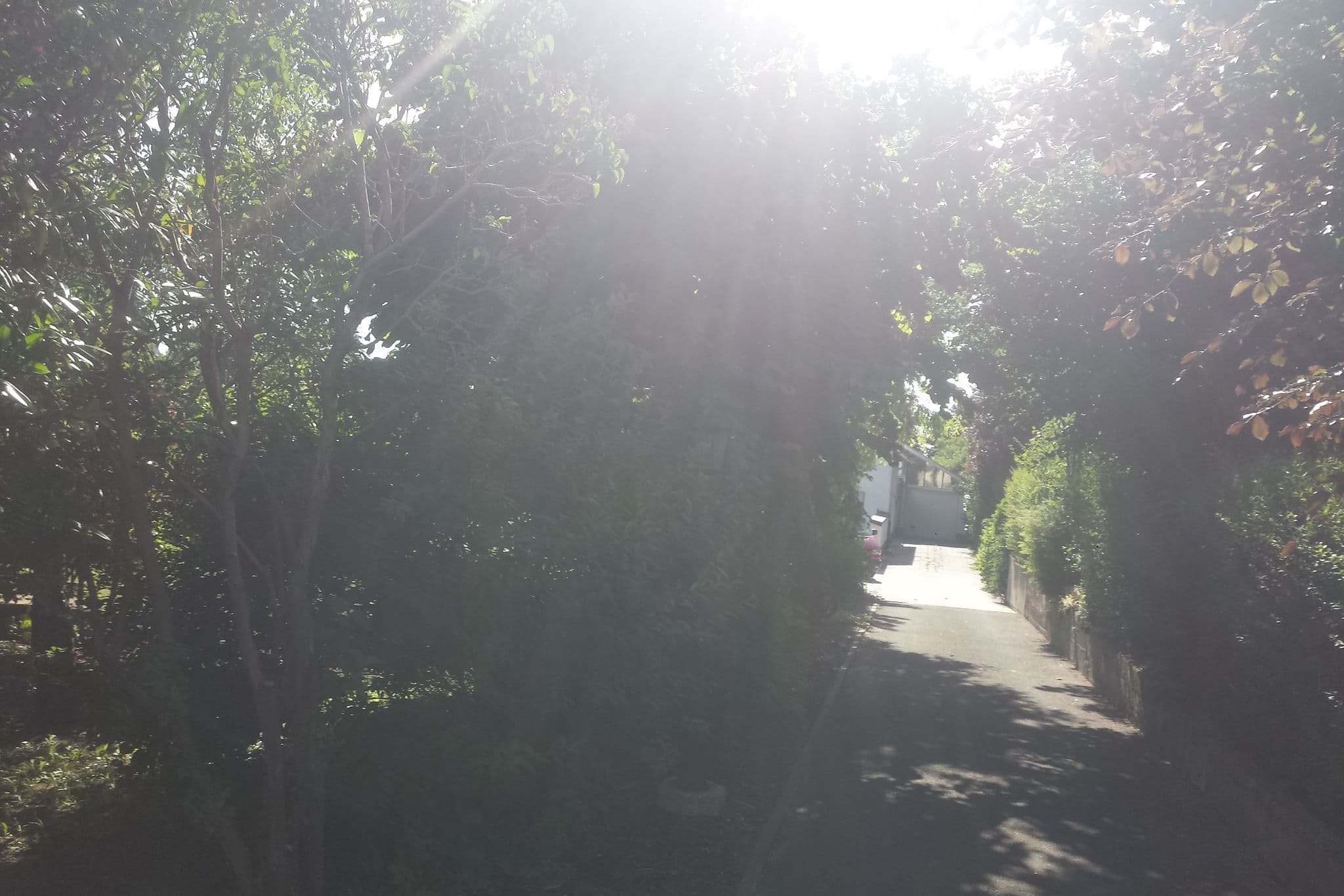 Street view near Motel 24, Edingen-Neckarhausen — © wegavision (CC BY-SA · Mapillary)