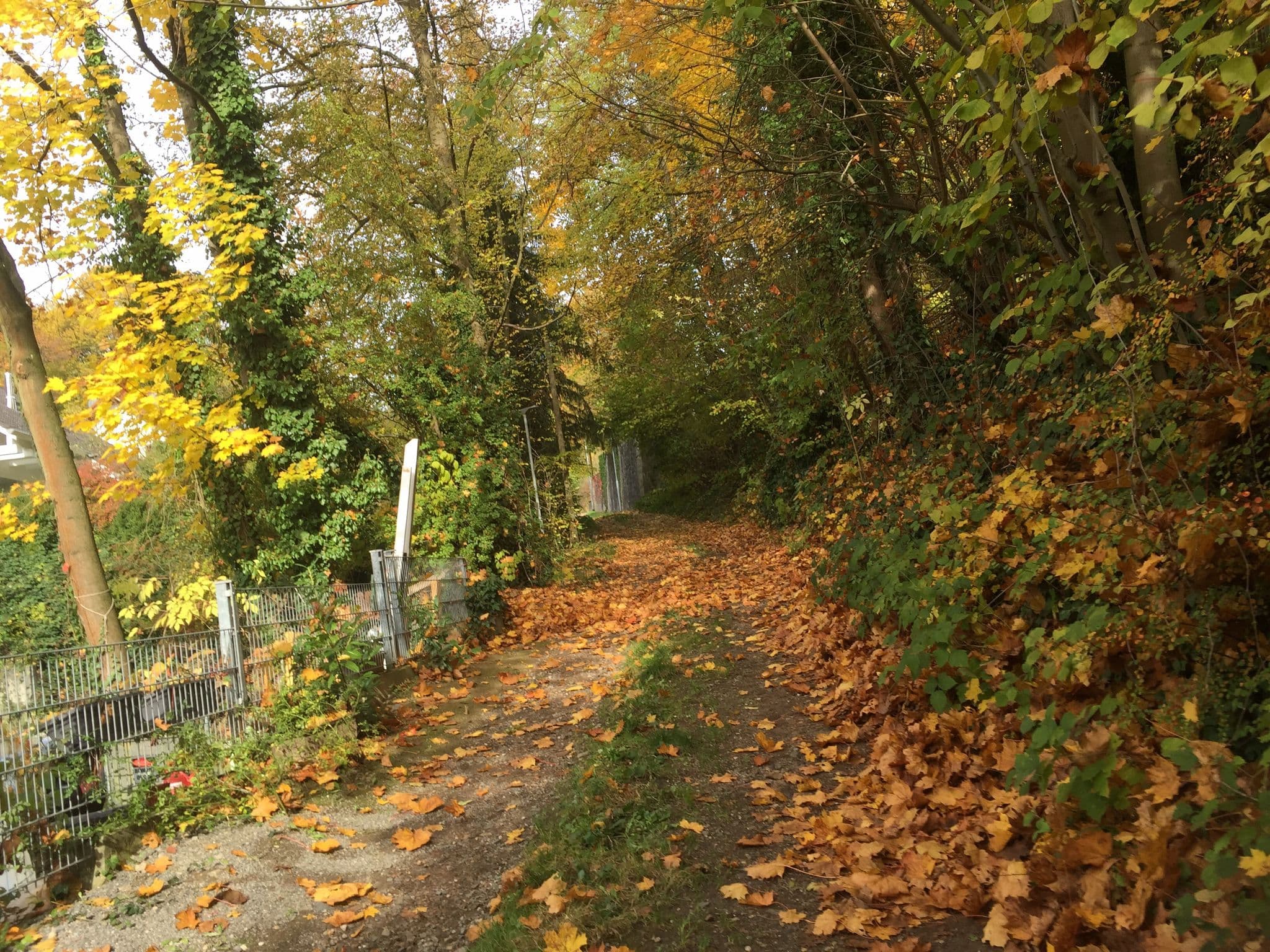 Street view near Schlossblick Ferienwohnung, Bensheim — © ramap (CC BY-SA · Mapillary)