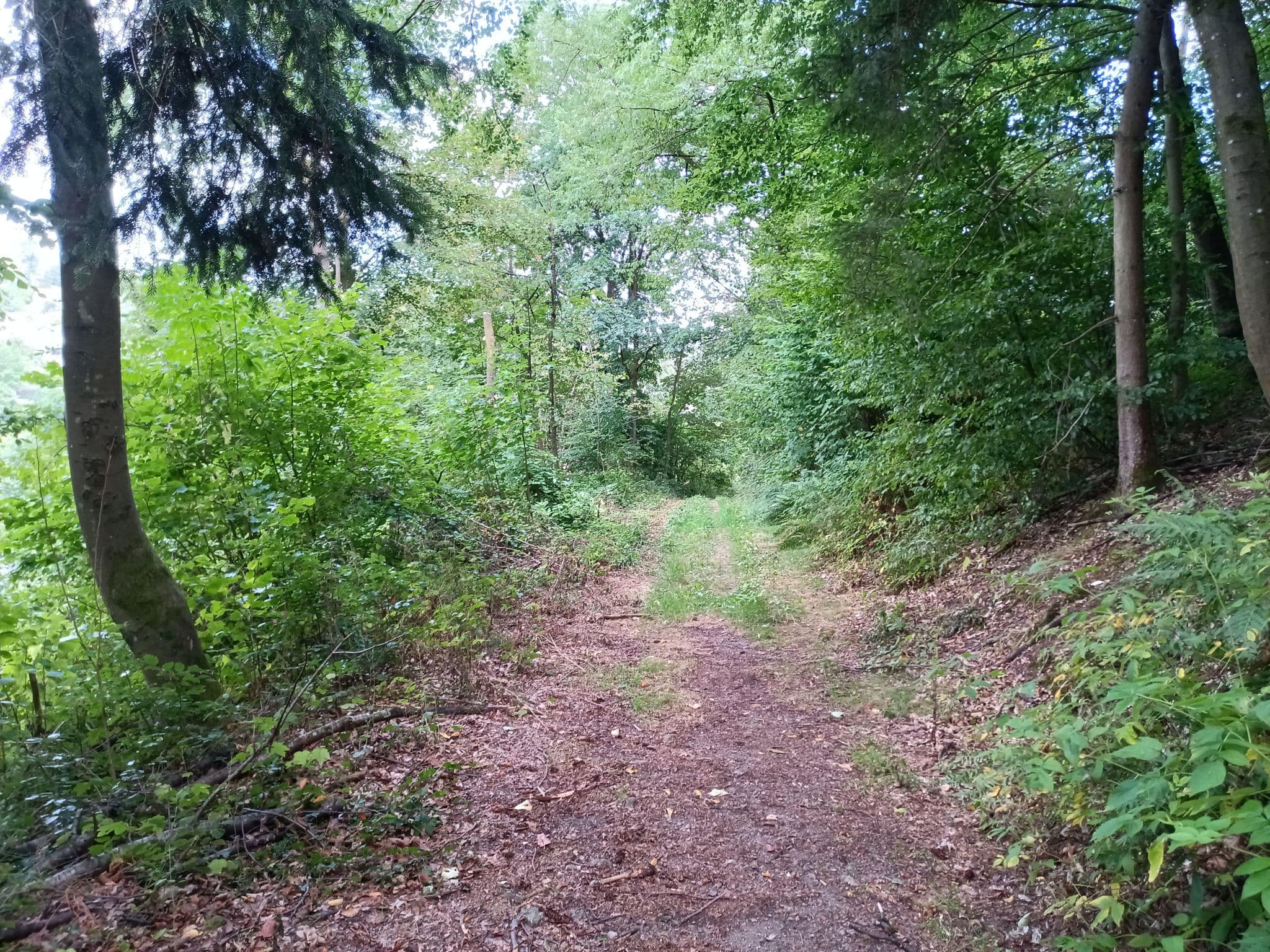 Street view near Ferienhaus Hirtenklingen, Wald-Michelbach — © NorMan61 (CC BY-SA · Mapillary)