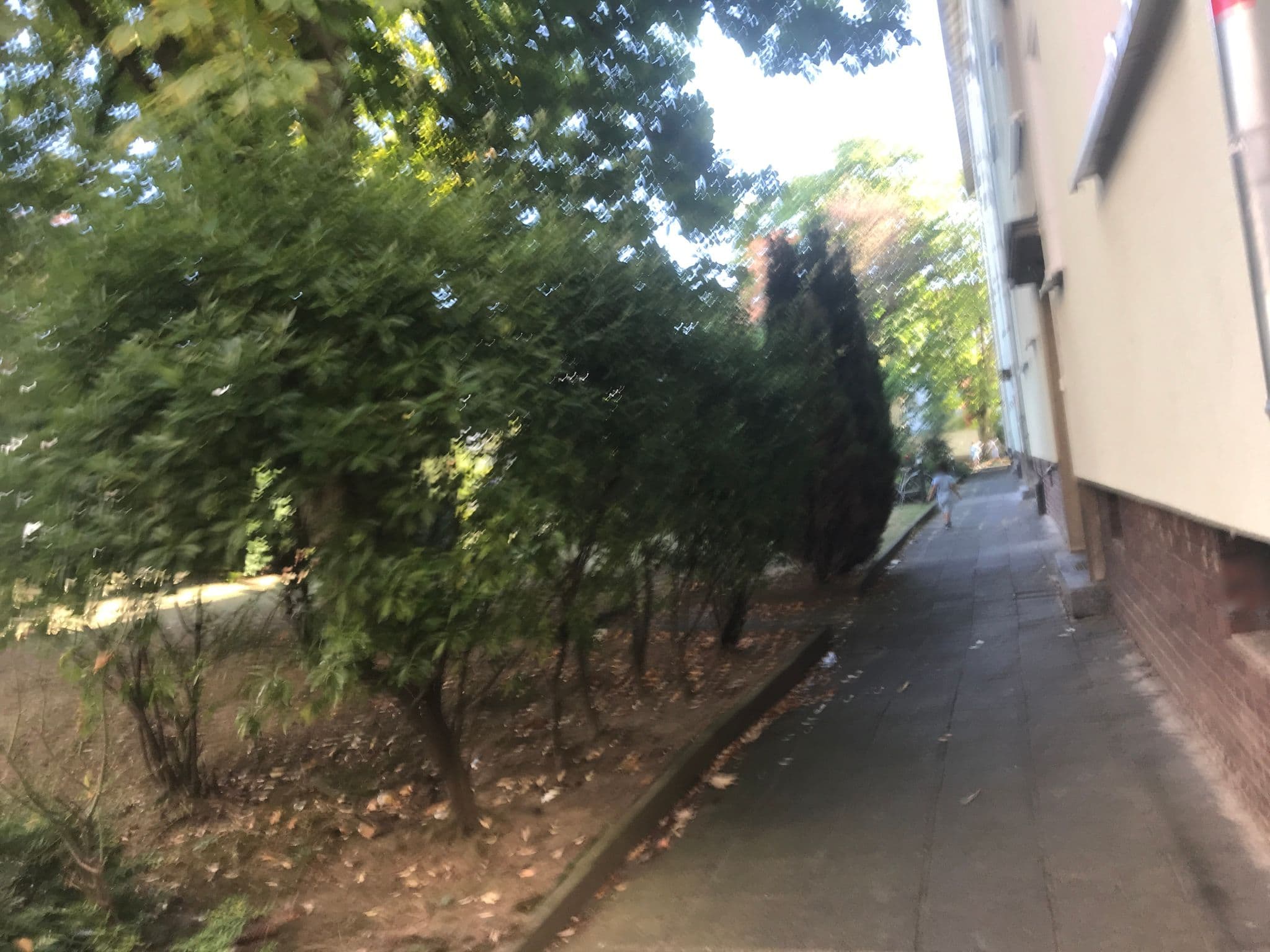 Street view near Bold Apartments, Gallus — © miguel_andrade (CC BY-SA · Mapillary)