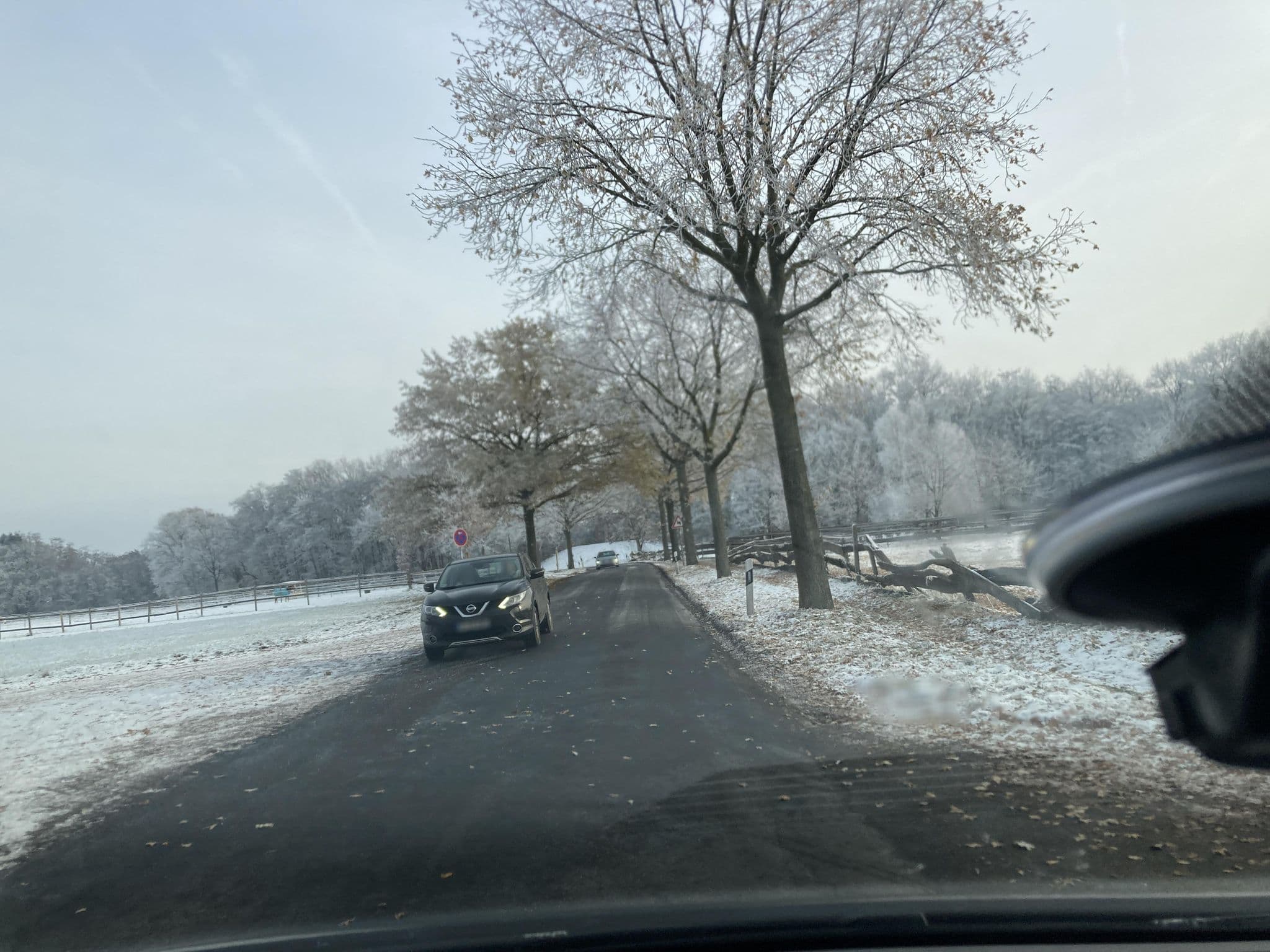 Street view near Gestüts- und Reitanlage Goldockerhof, Mühlheim am Main — © robffm (CC BY-SA · Mapillary)